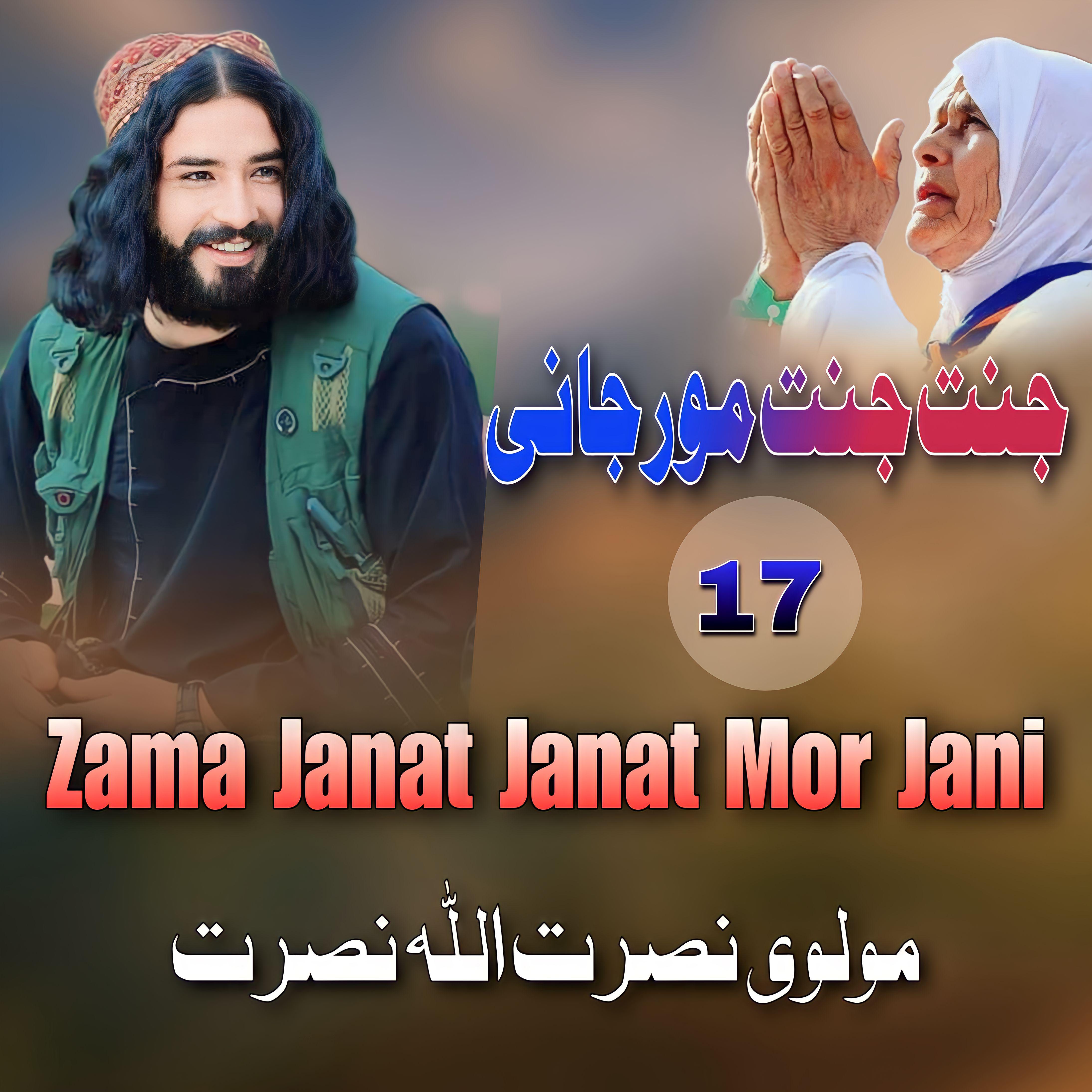 Постер альбома Zama Janat Janat Mor Jani, Vol. 17