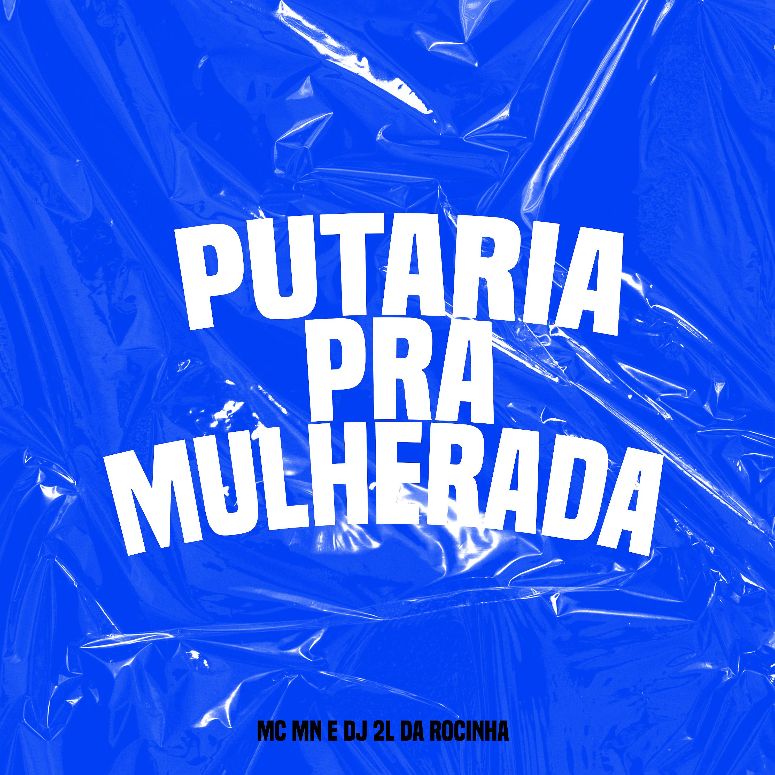 Постер альбома Putaria pra Mulherada