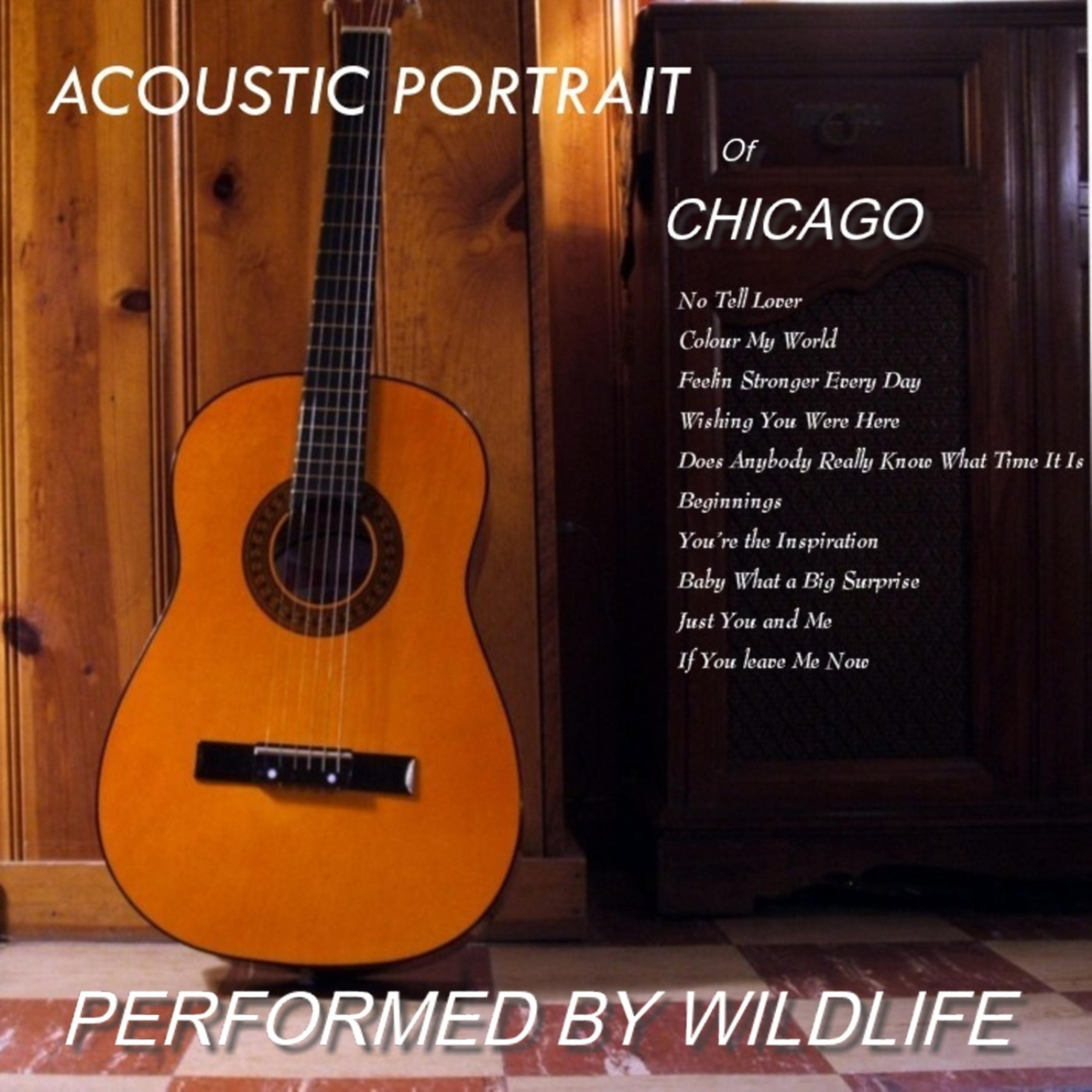 Постер альбома Acoustic Portrait of Chicago