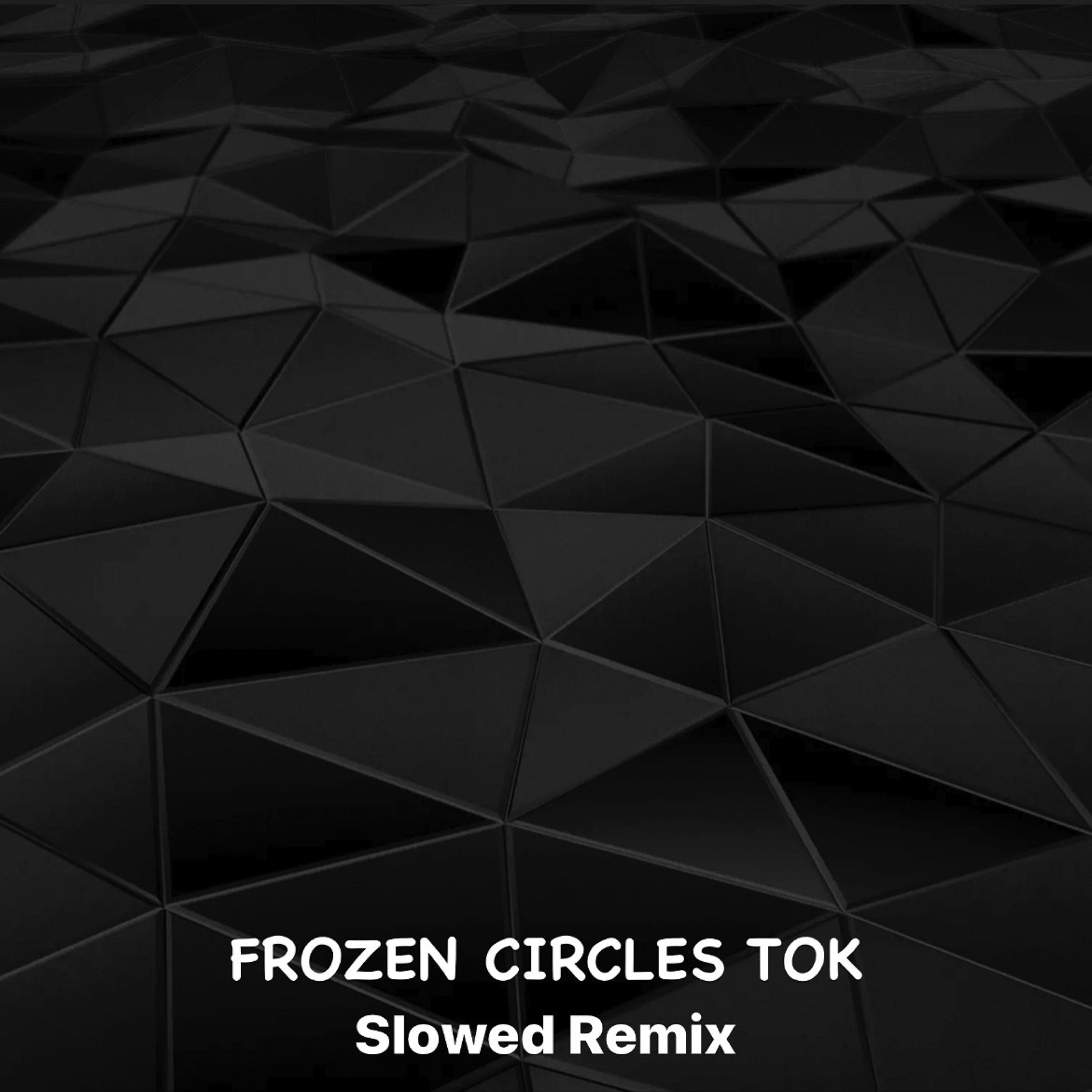 Постер альбома Frozen Circles Tok (Slowed Remix)