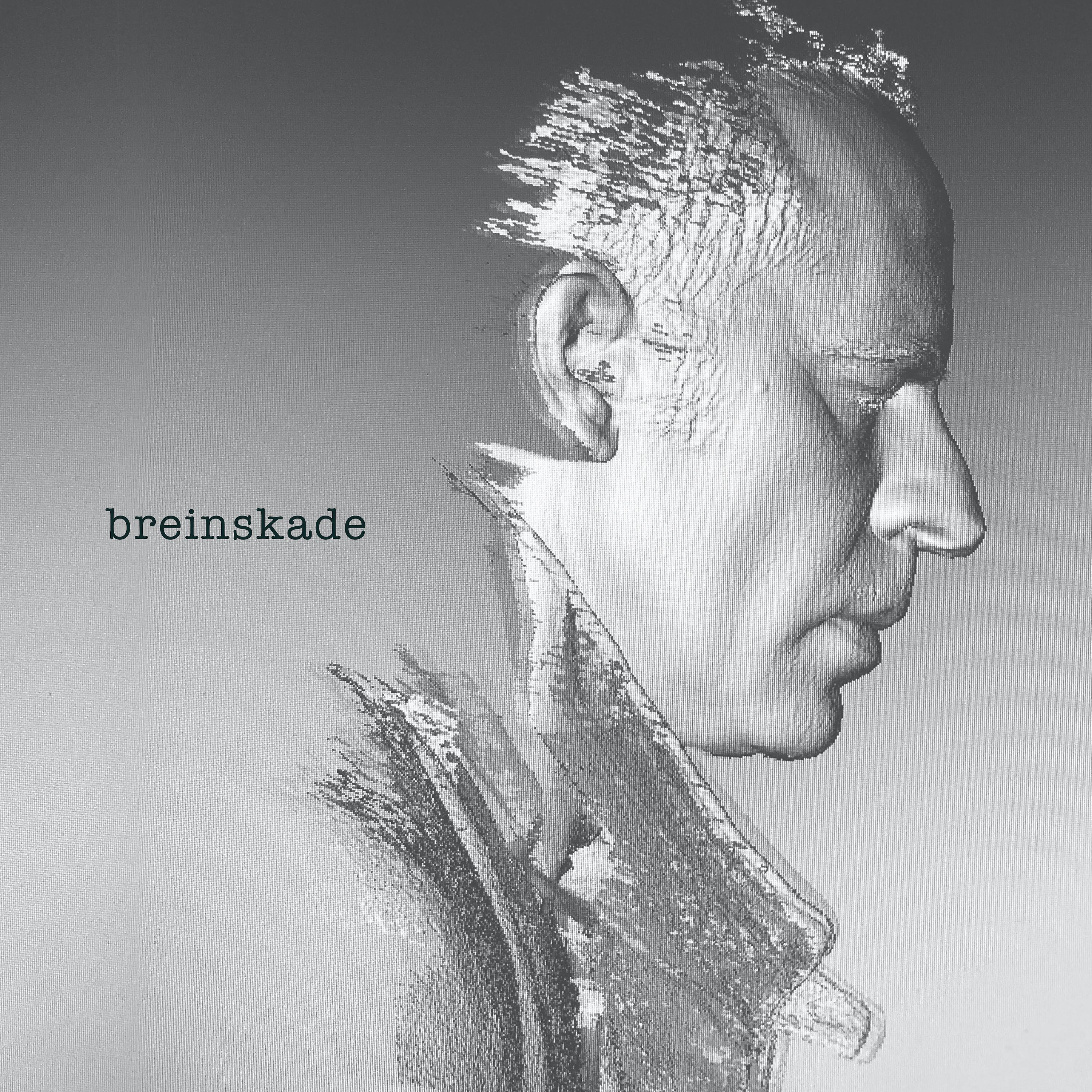 Постер альбома Breinskade
