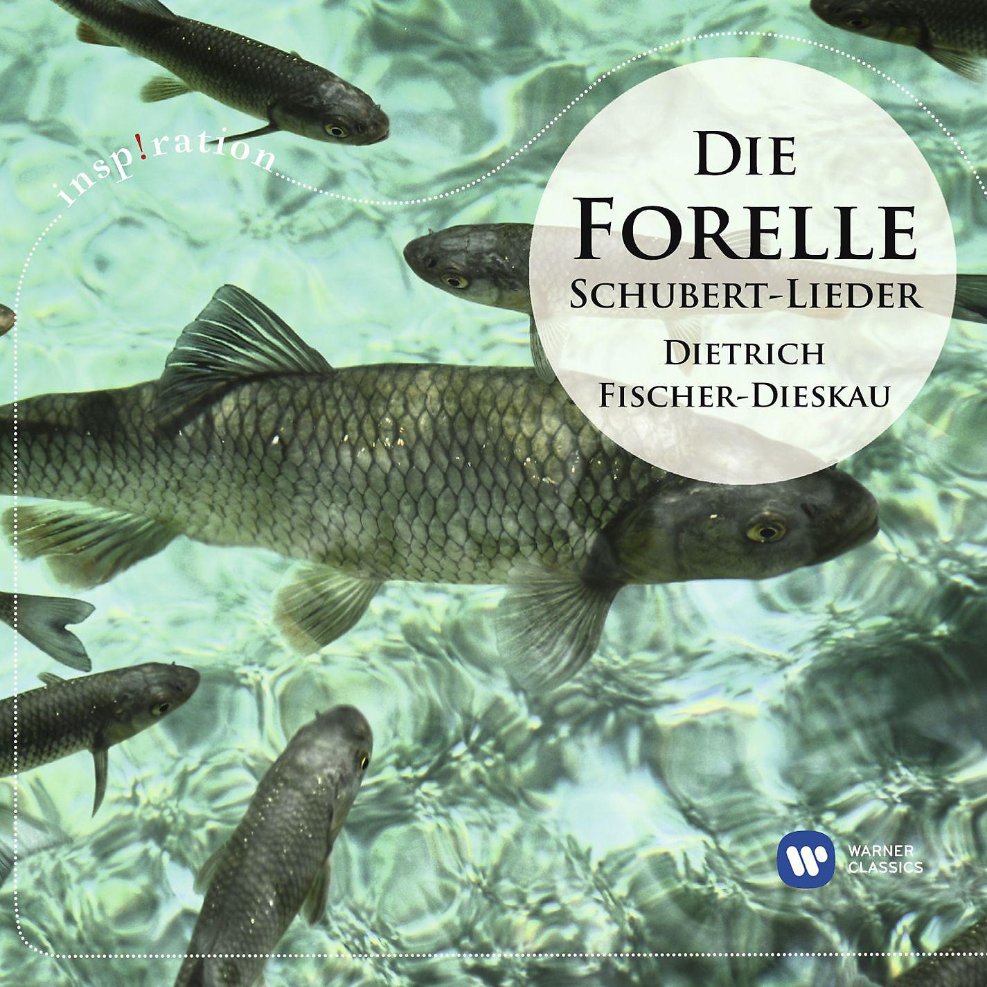 Постер альбома Die Forelle: Die schönsten Schubert-Lieder