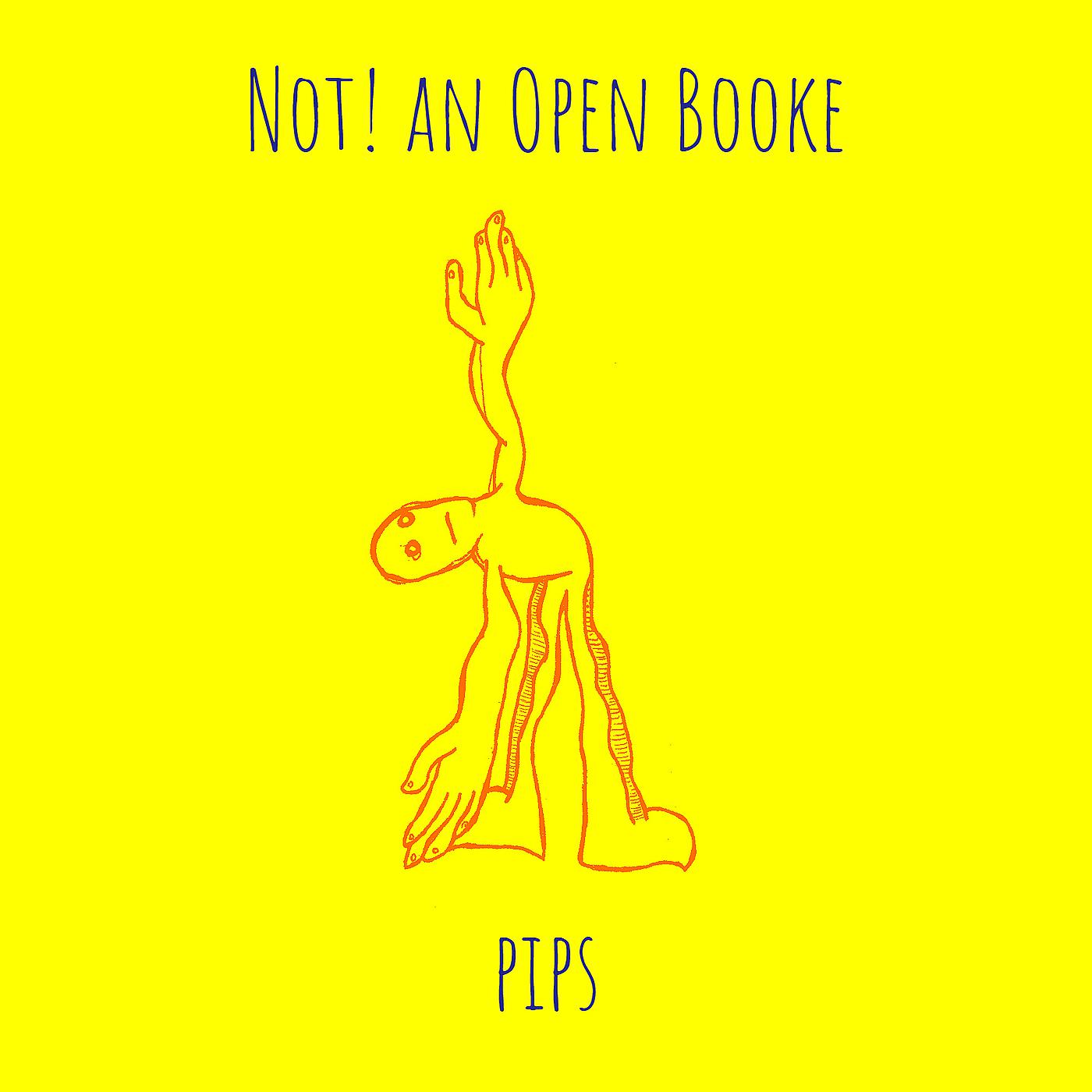 Постер альбома Not! an Open Booke