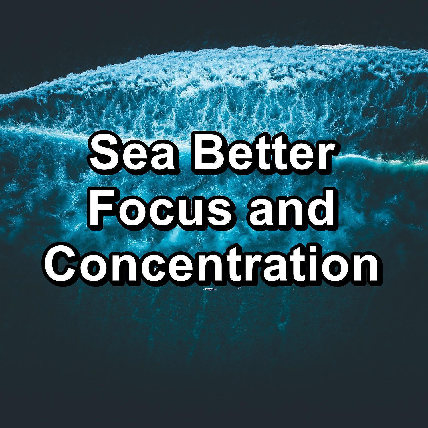 Постер альбома Sea Better Focus and Concentration