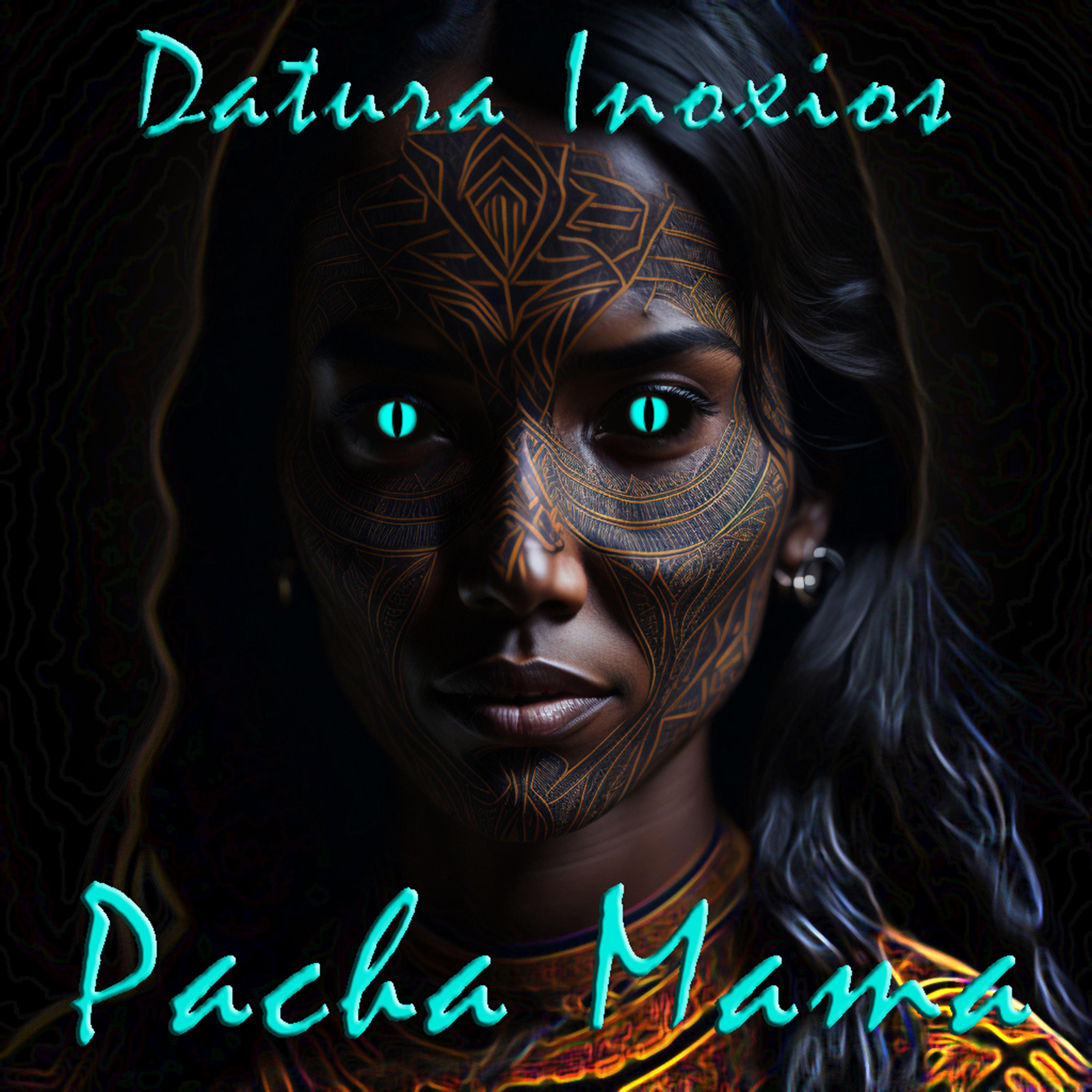 Постер альбома Pacha Mama