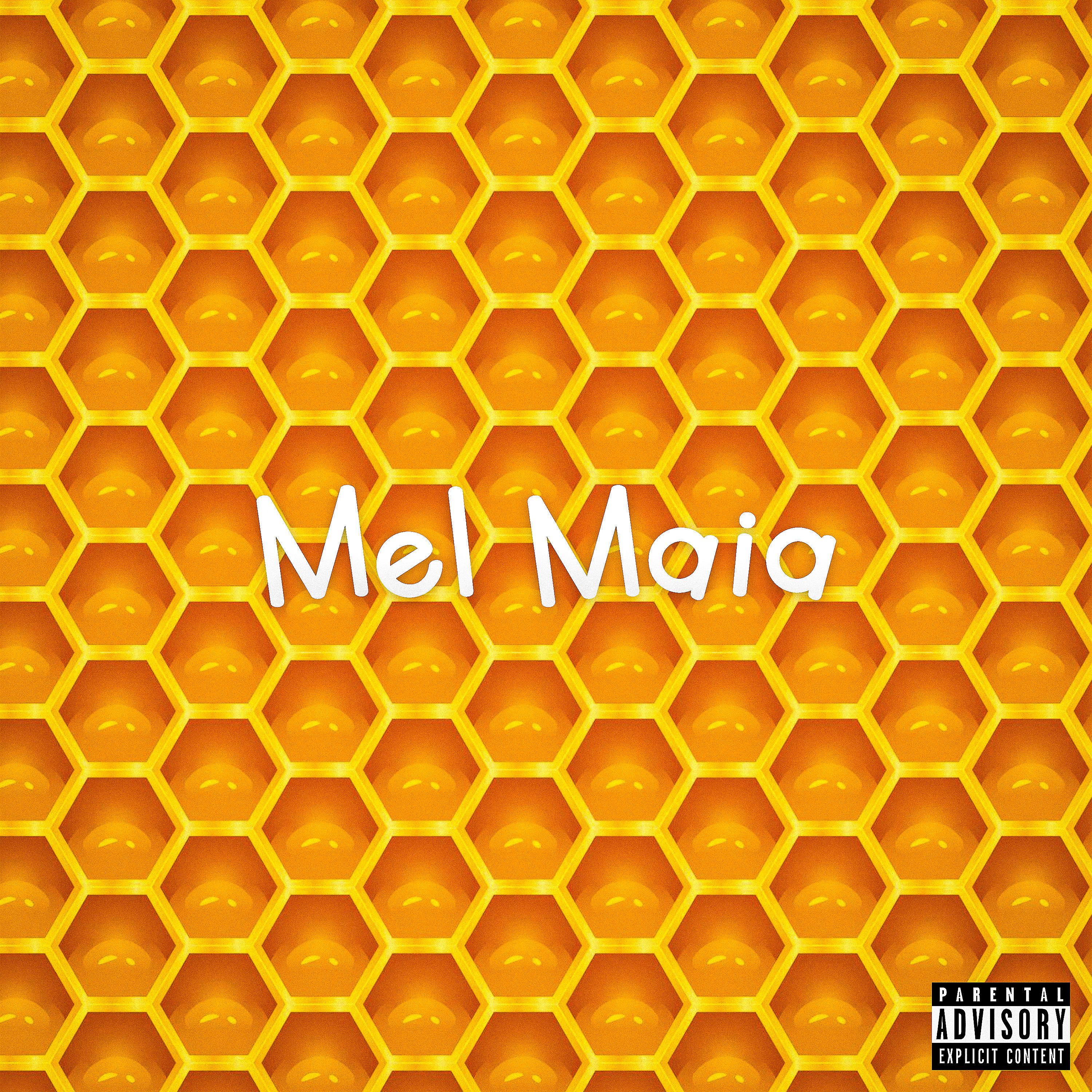 Постер альбома Mel Maia