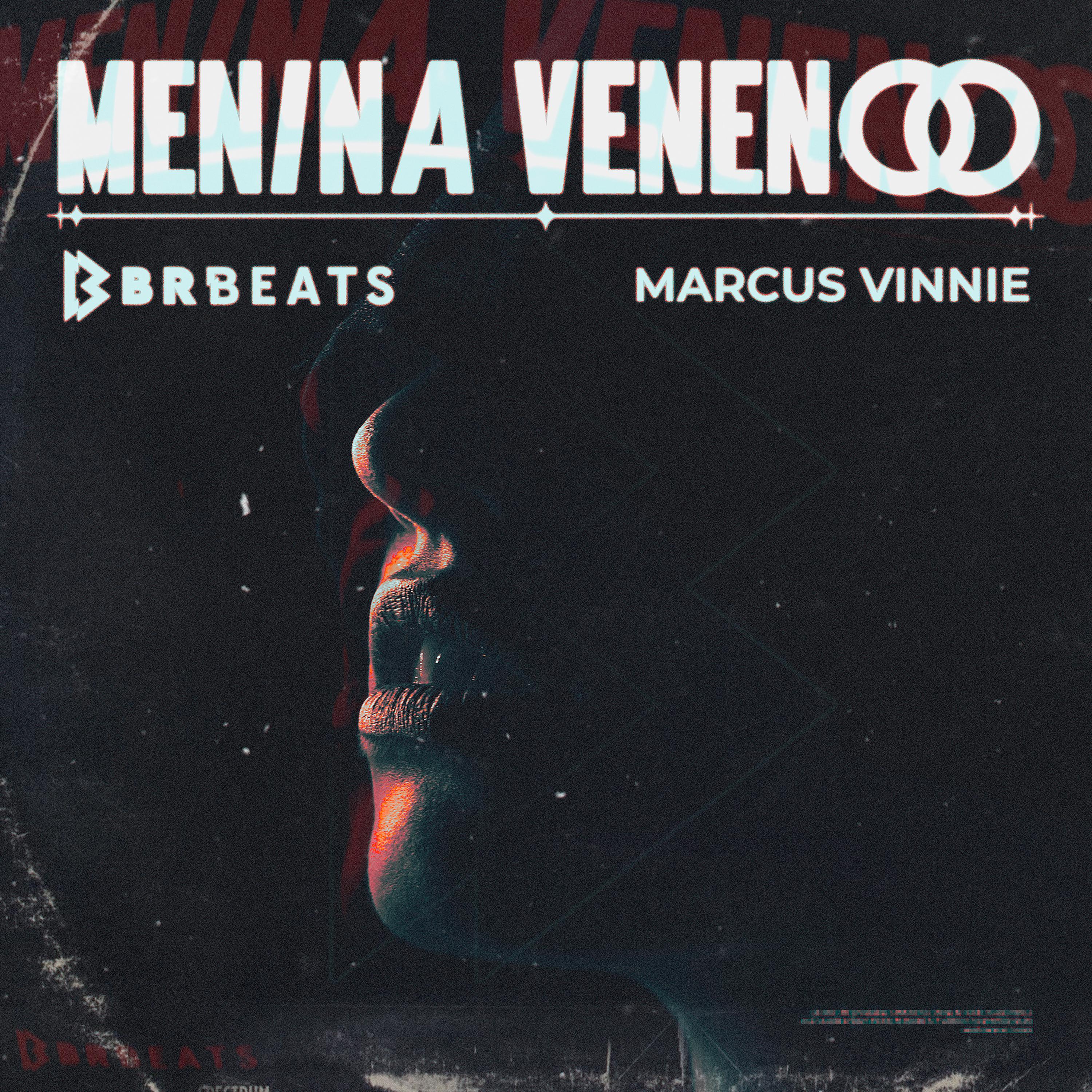 Постер альбома Menina Veneno