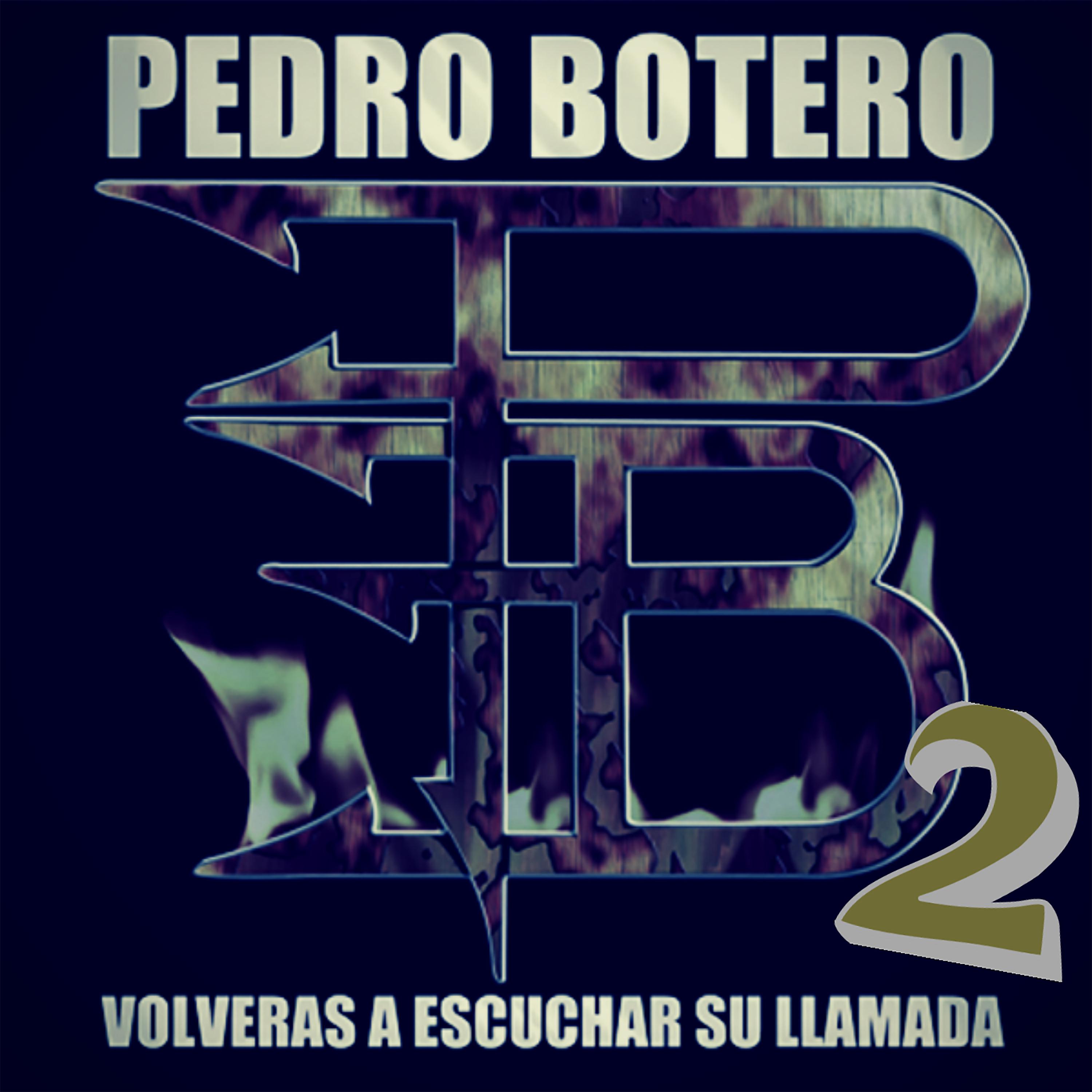 Постер альбома Volverás a Escuchar Su Llamada, Vol. 2