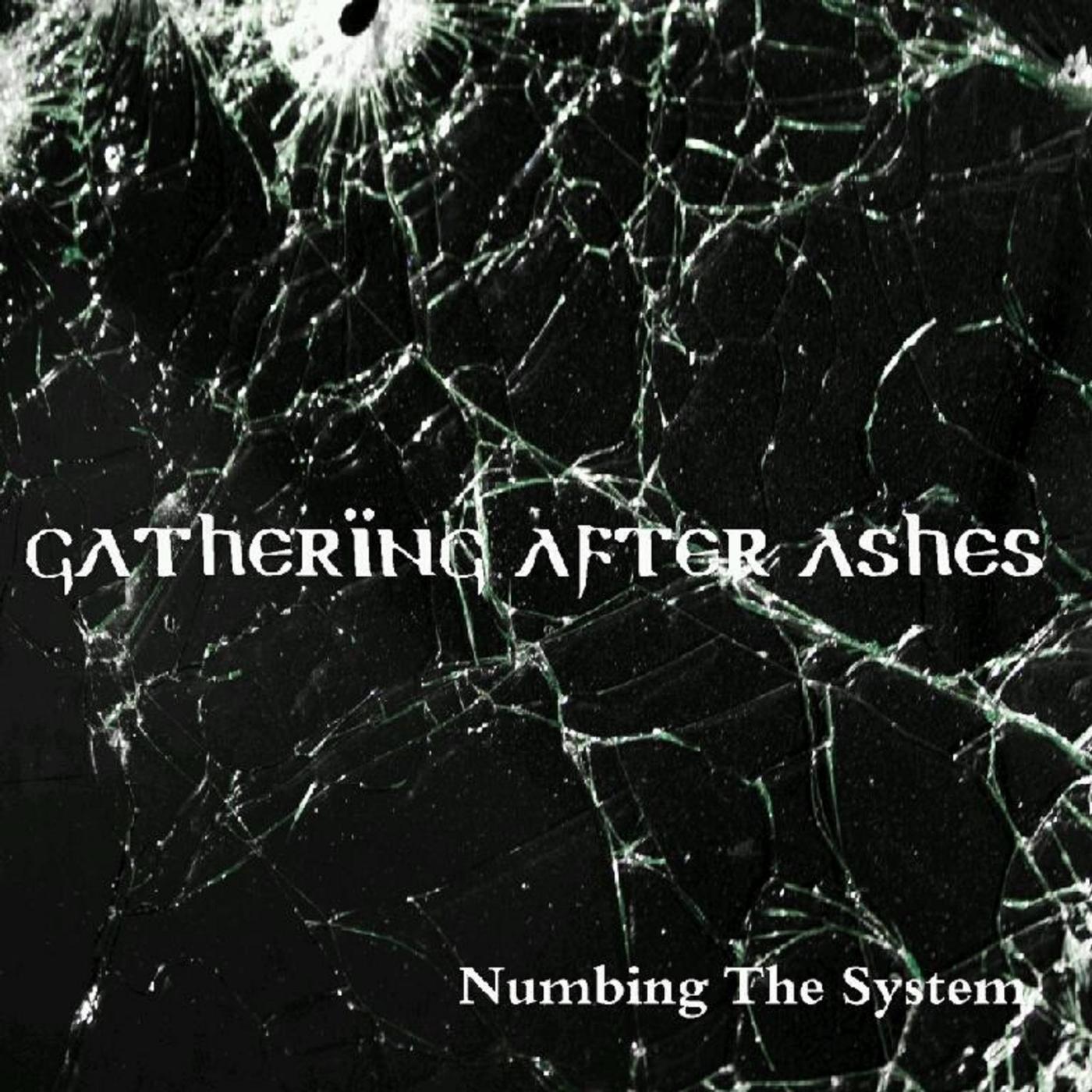 Постер альбома Numbing the System