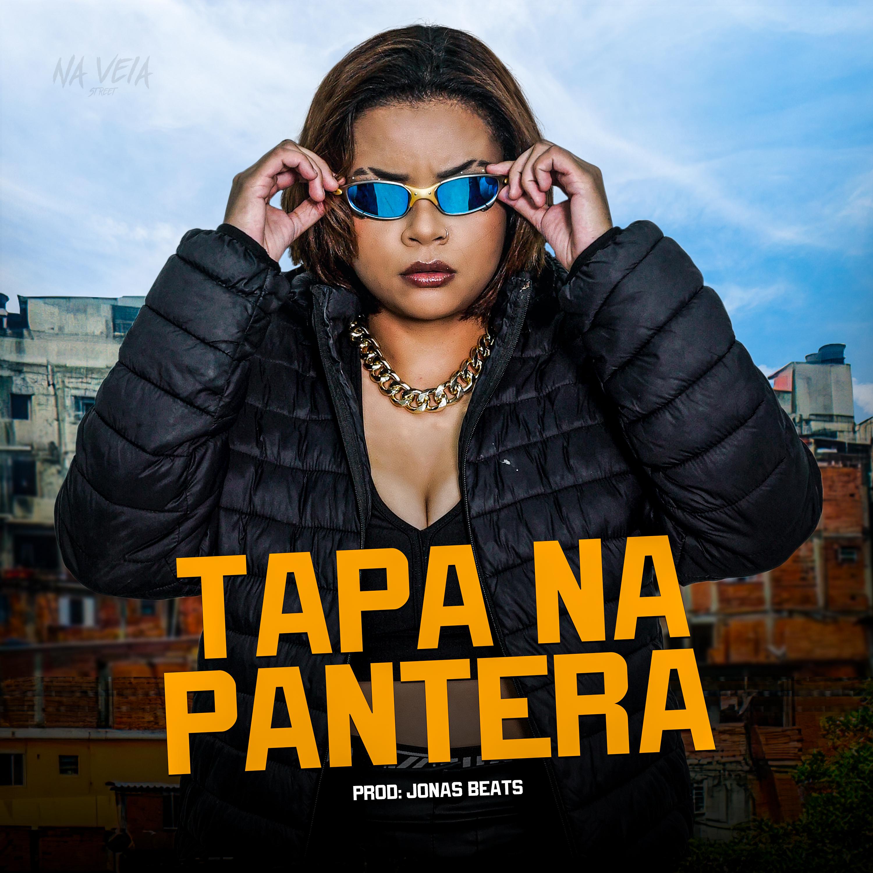 Постер альбома Tapa na Pantera