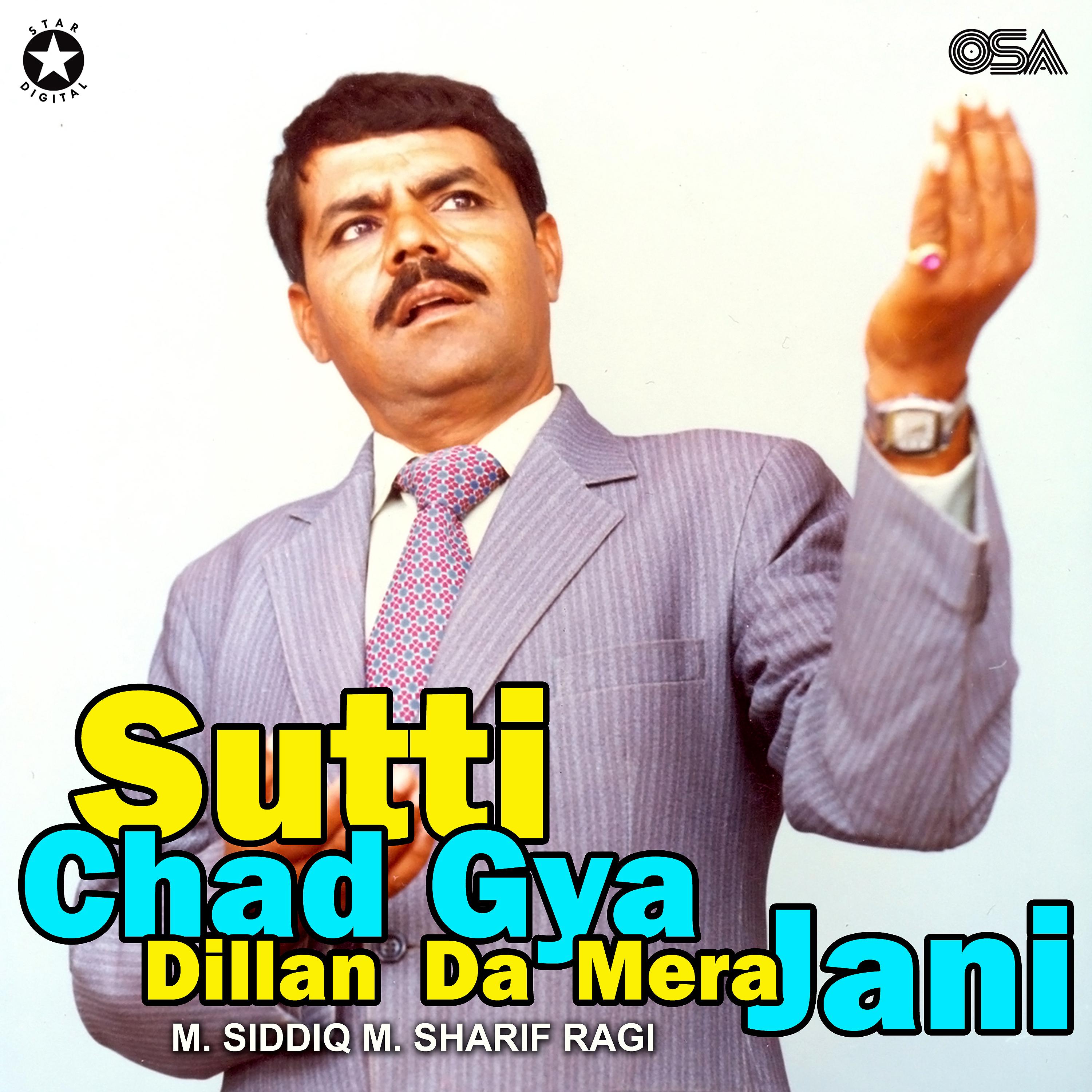 Постер альбома Sutti Chad Gya Dillan Da Mera Jani