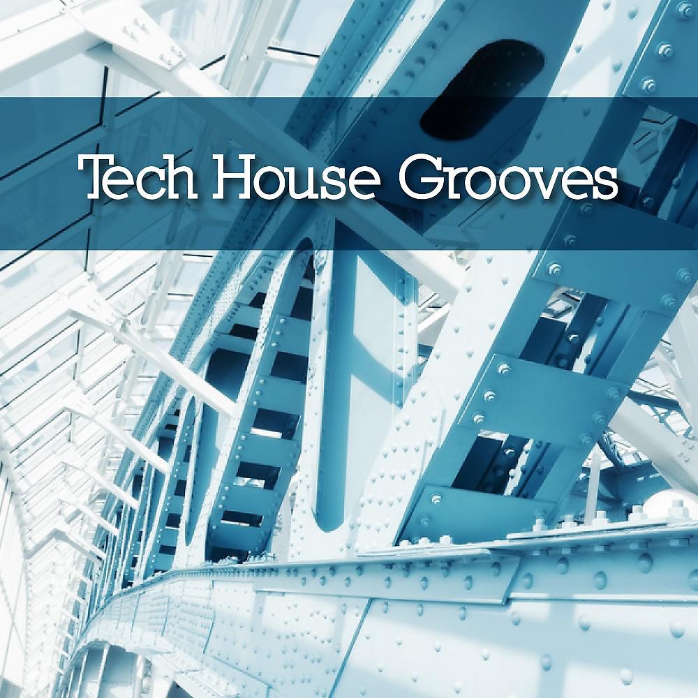 Постер альбома Tech House Grooves