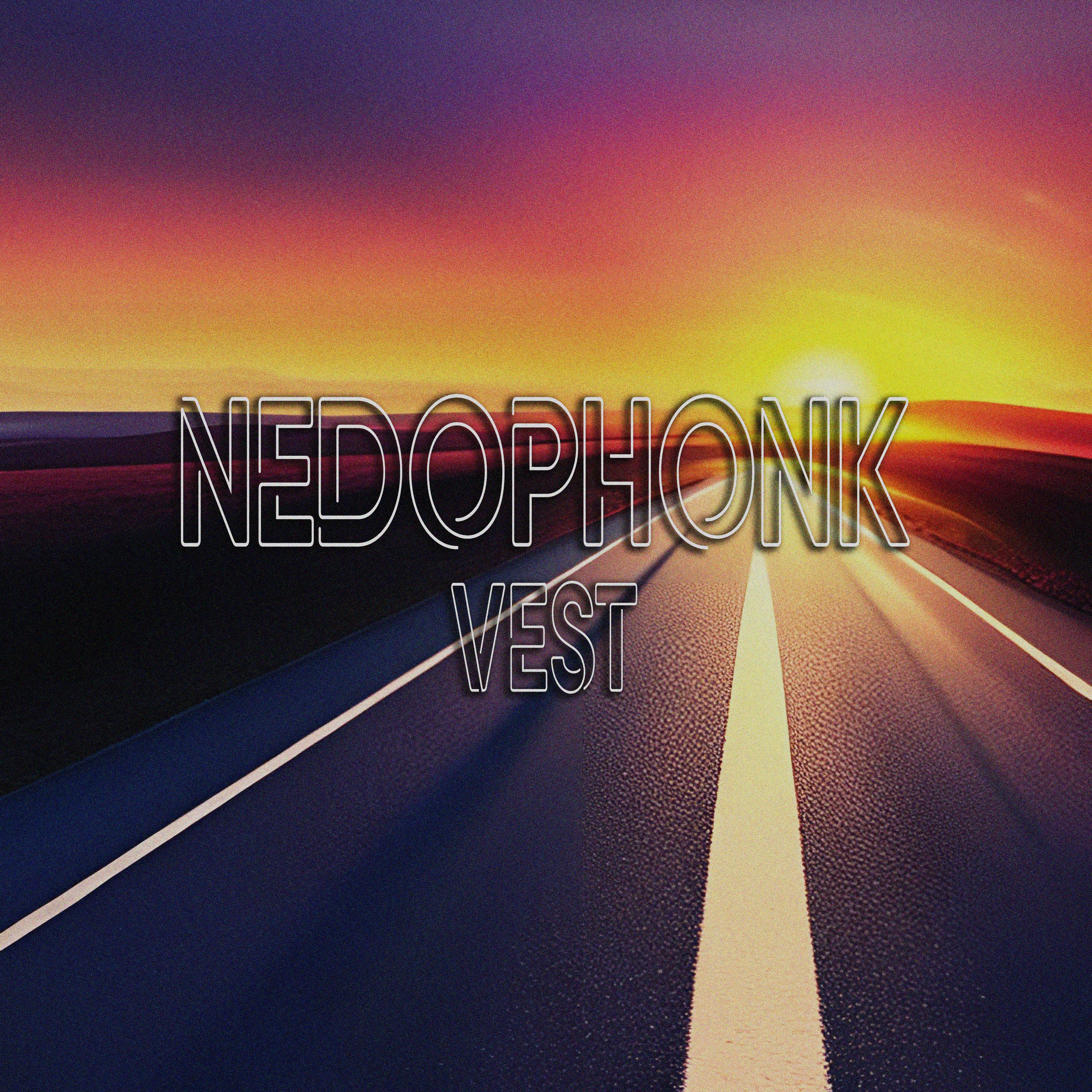 Постер альбома NEDOPHONK