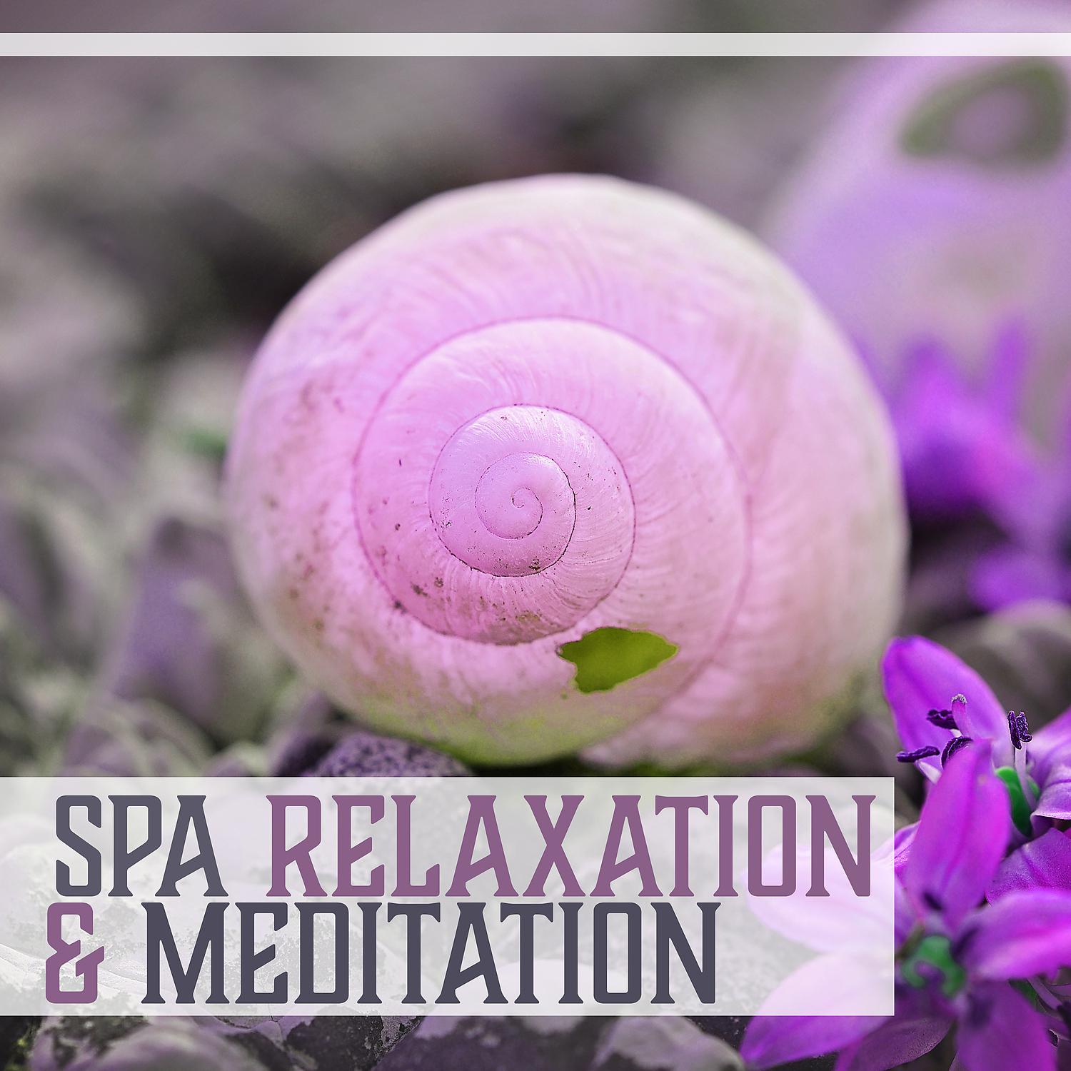 Постер альбома Spa Relaxation & Meditation – Best Sounds for Spa, Meditation Calmness, Relax Yourself, New Age Music