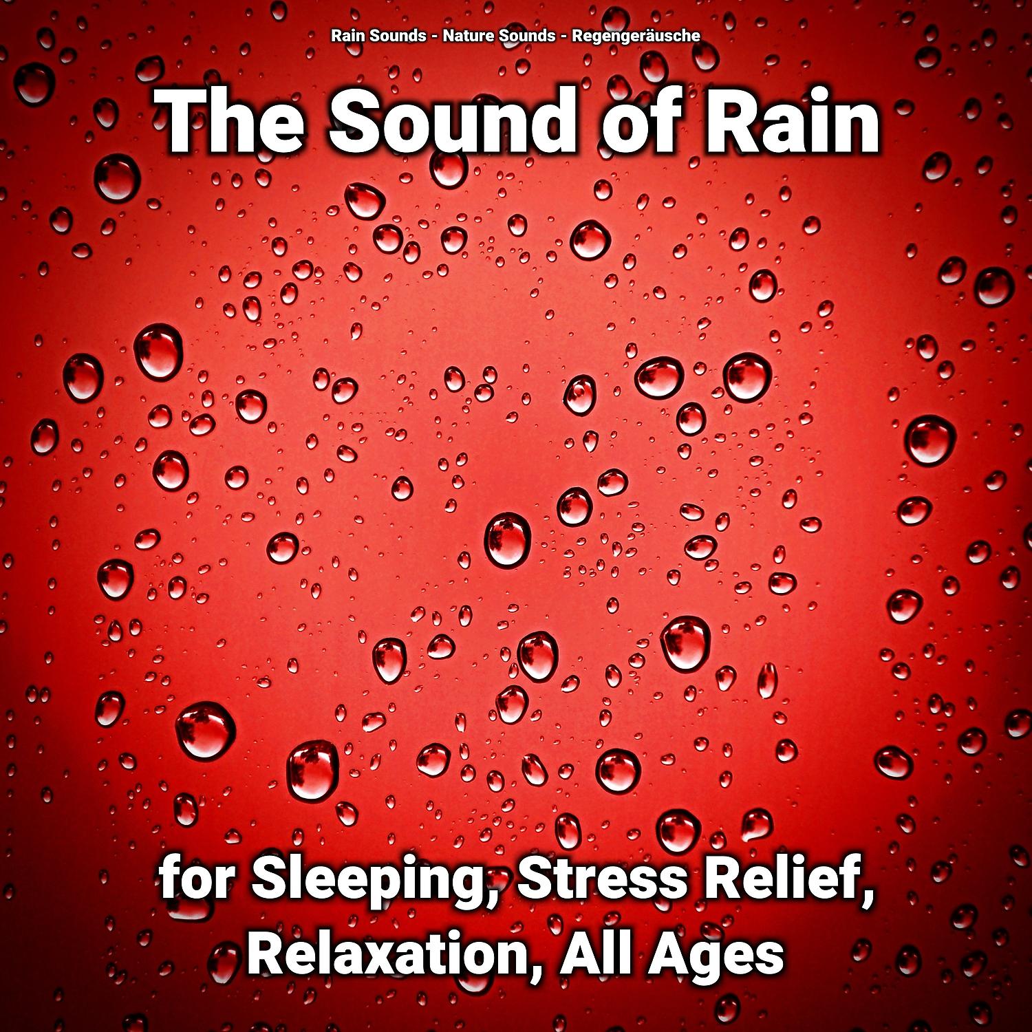 Постер альбома The Sound of Rain for Sleeping, Stress Relief, Relaxation, All Ages