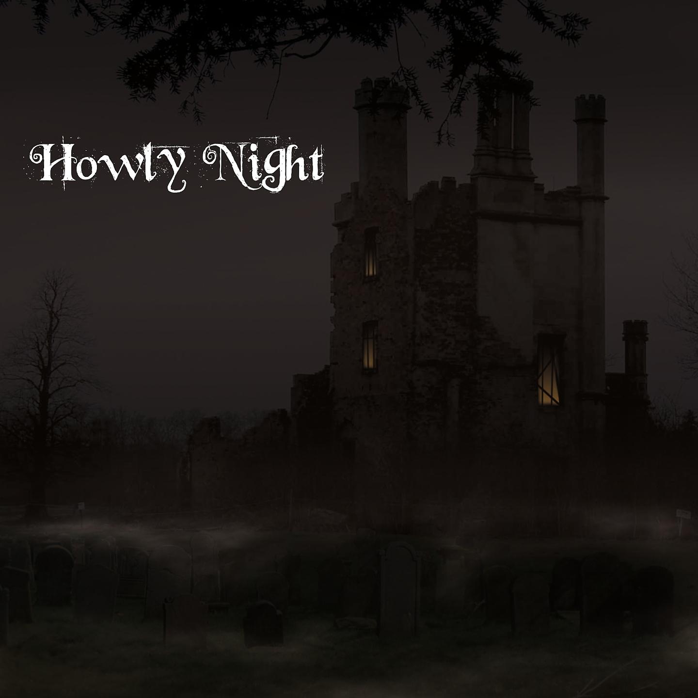 Постер альбома Howly Night