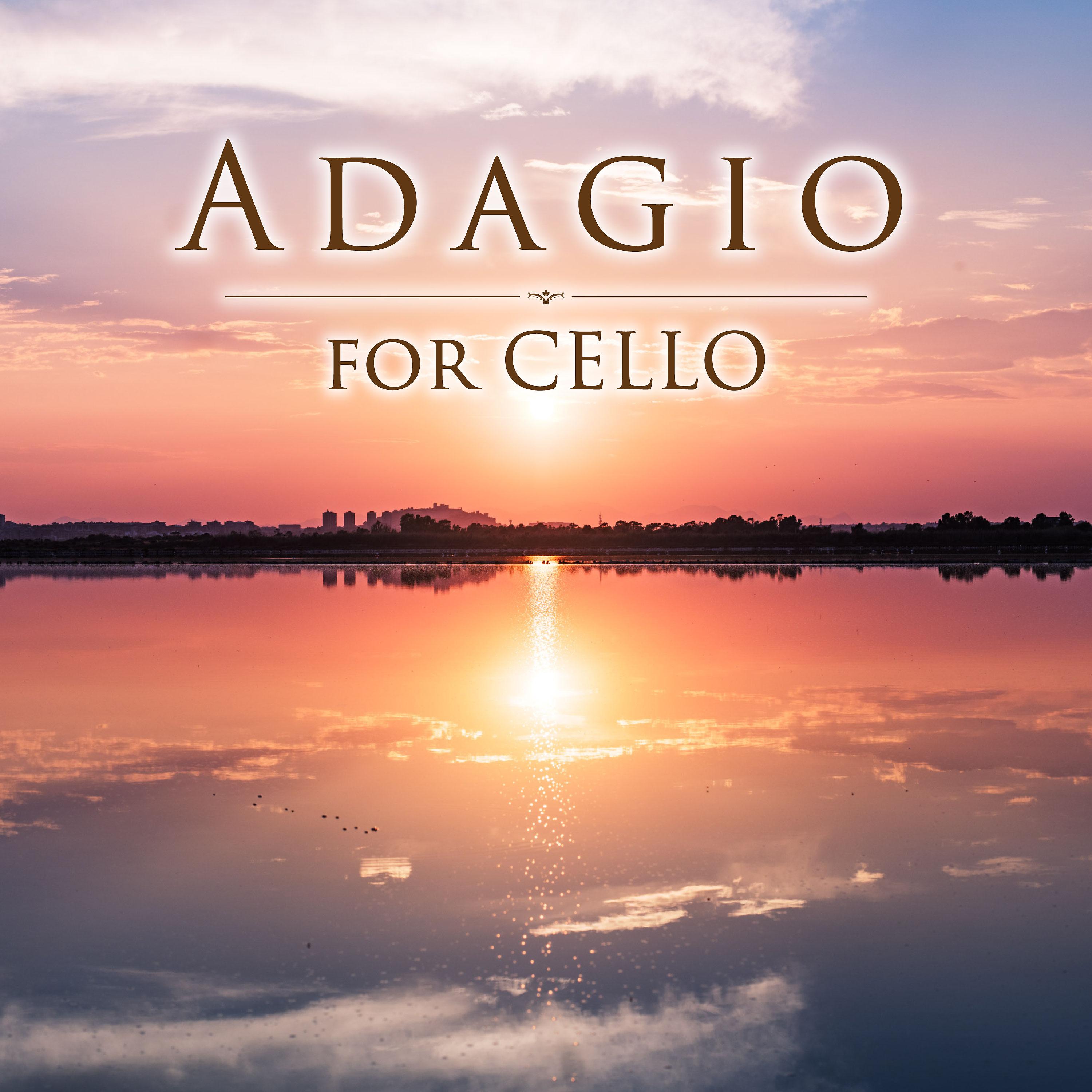 Постер альбома Adagio for Cello (Namida Cello Classics International Ver.)