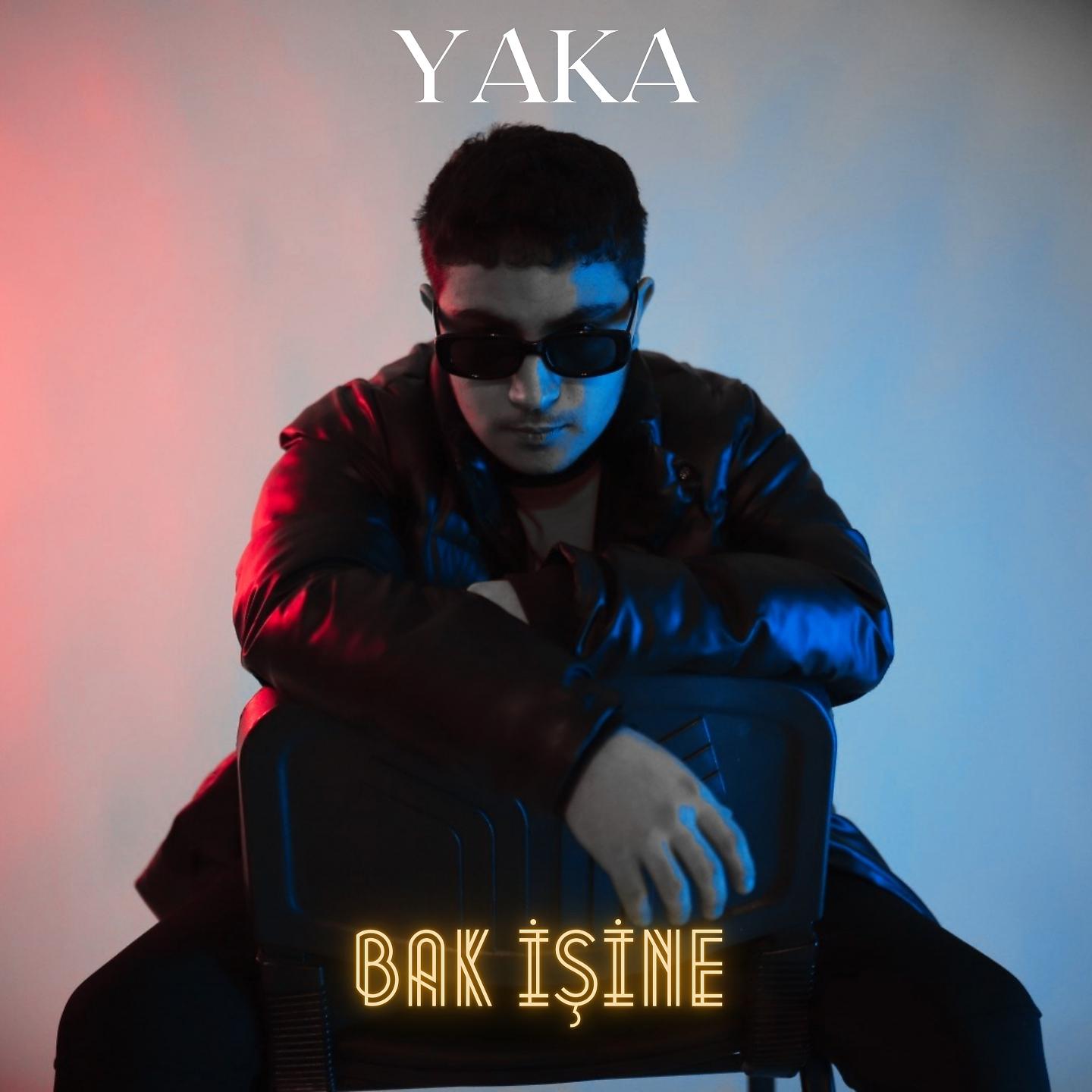 Постер альбома Bak İşine