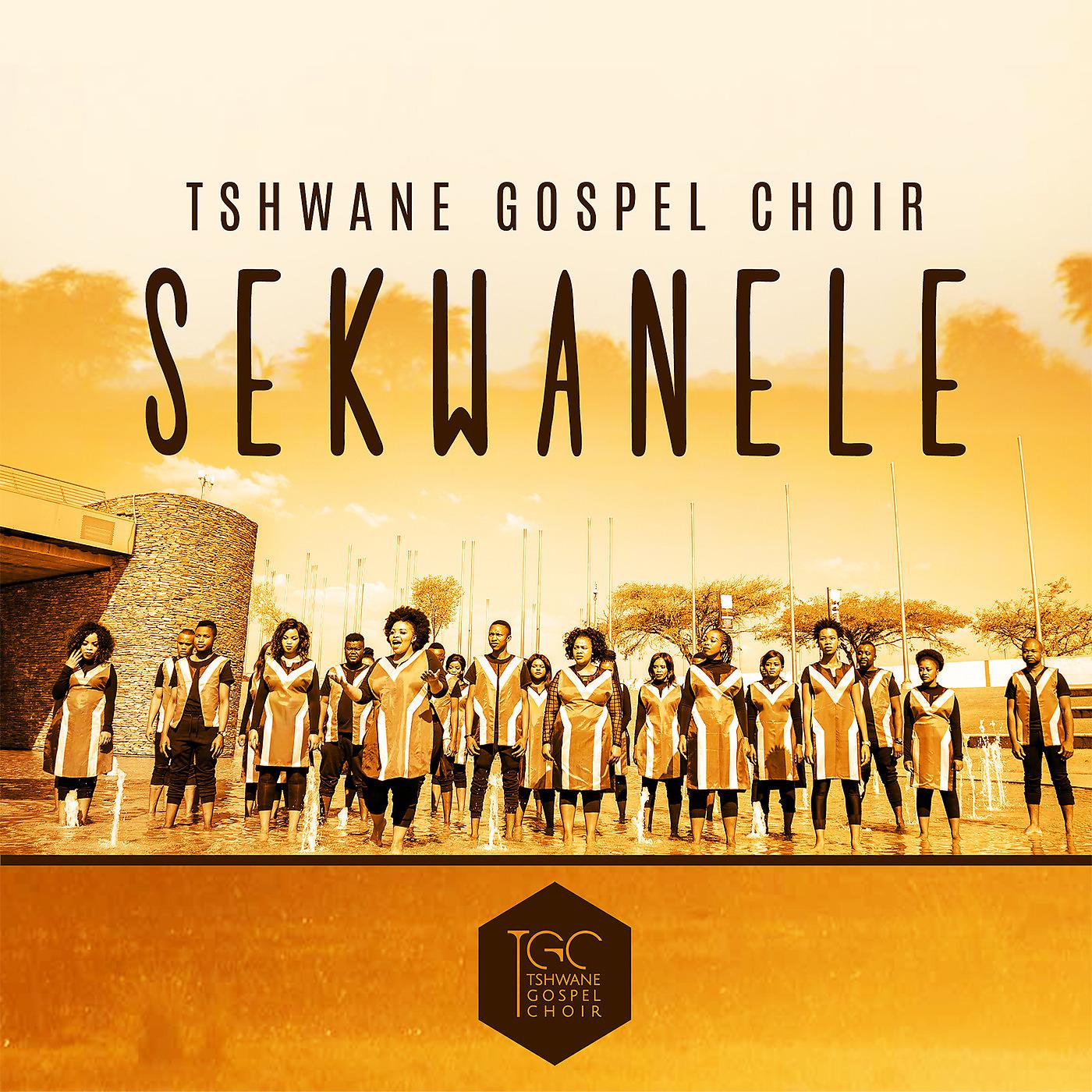 Постер альбома Sekwanele
