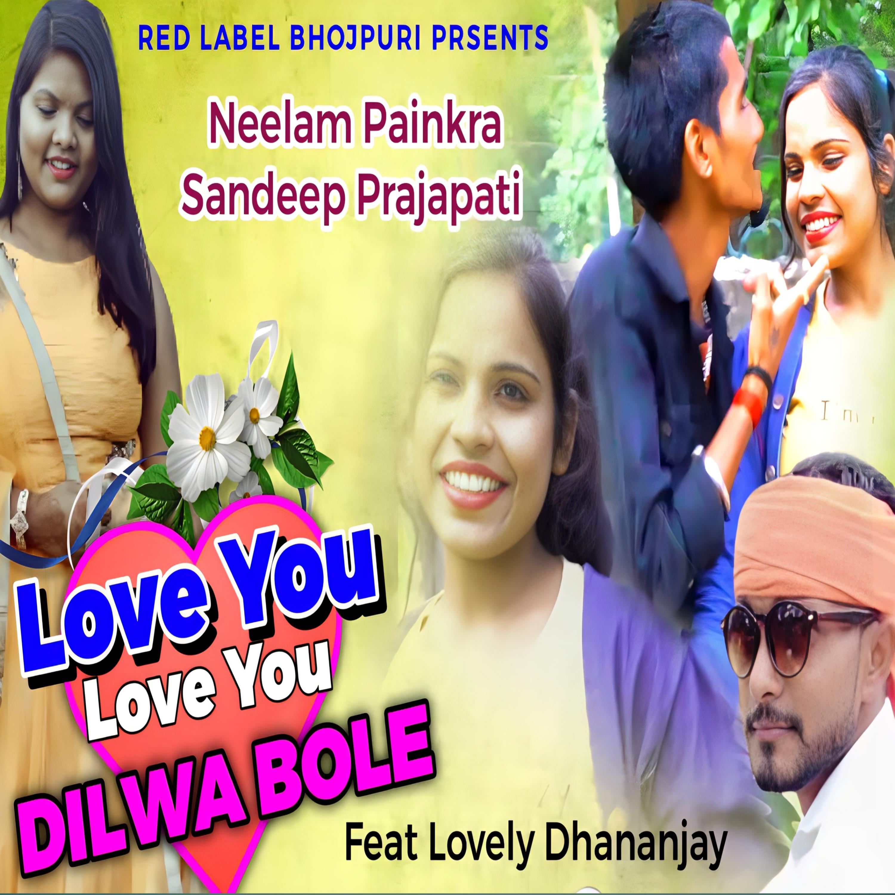 Постер альбома Love you Love You Dilwa Bole