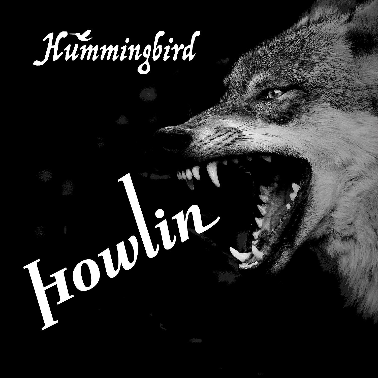 Постер альбома Howlin'