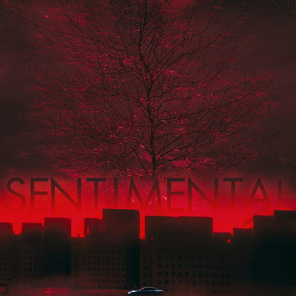 Постер альбома Sentimental