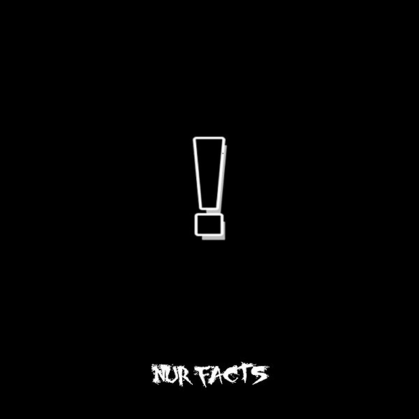 Постер альбома Nur Facts
