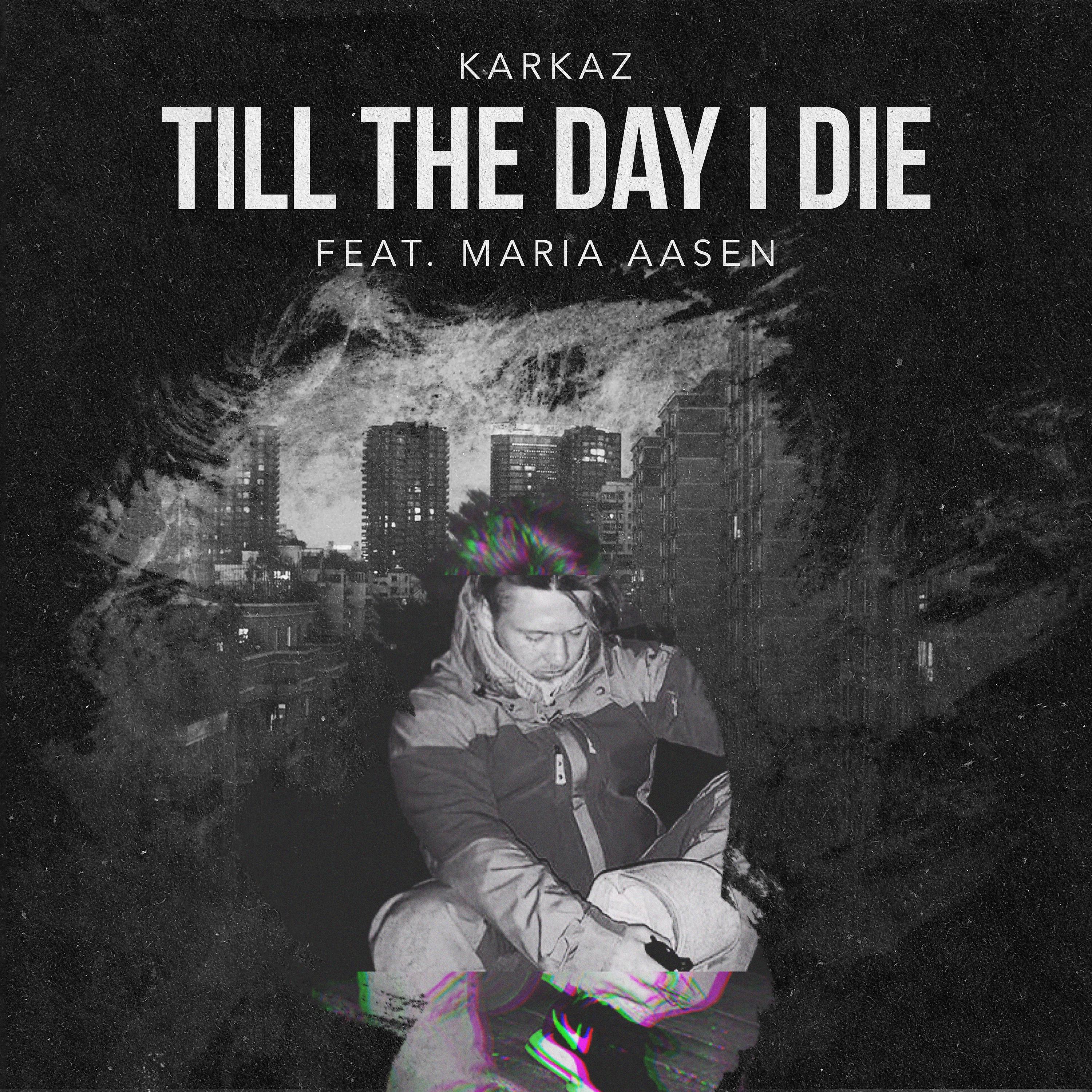 Постер альбома Till the Day I Die