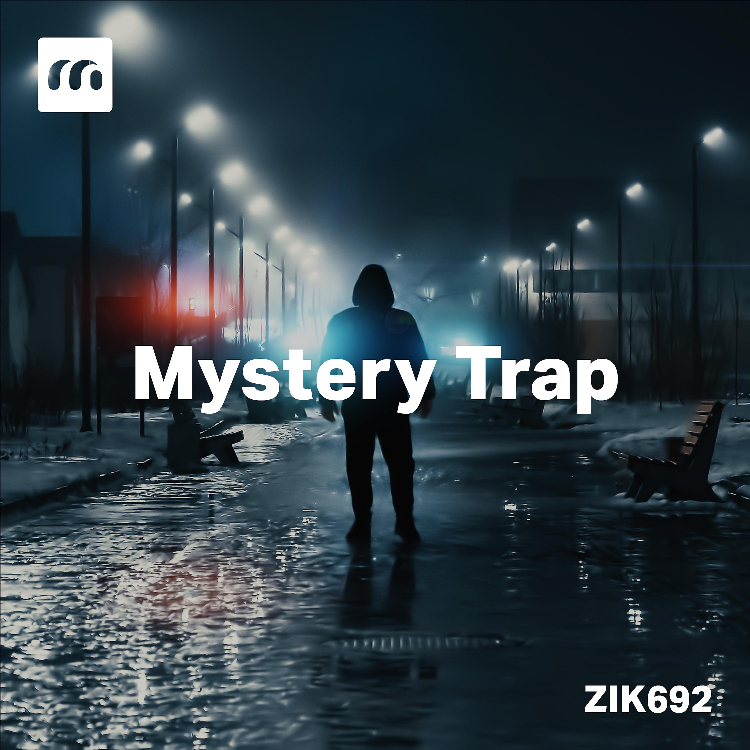 Постер альбома Mystery Trap