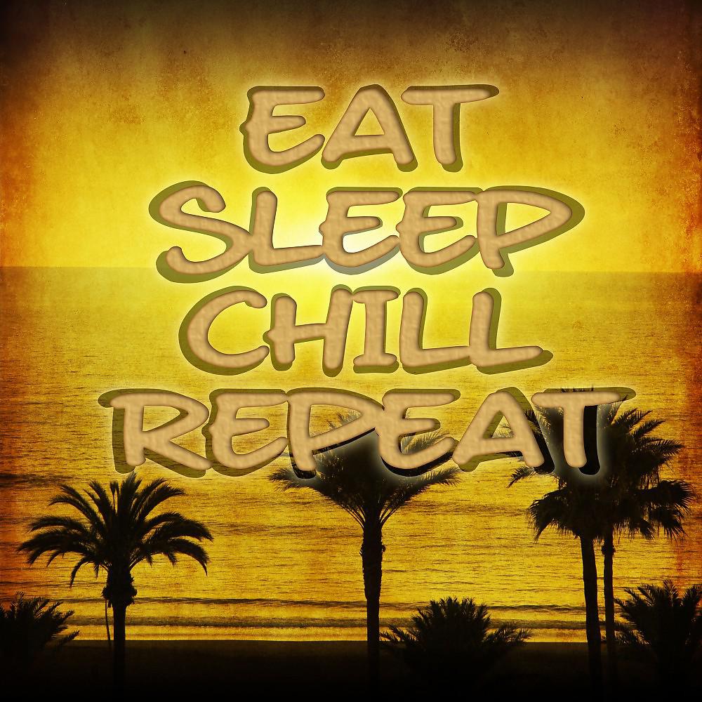 Постер альбома Eat Sleep Chill Repeat