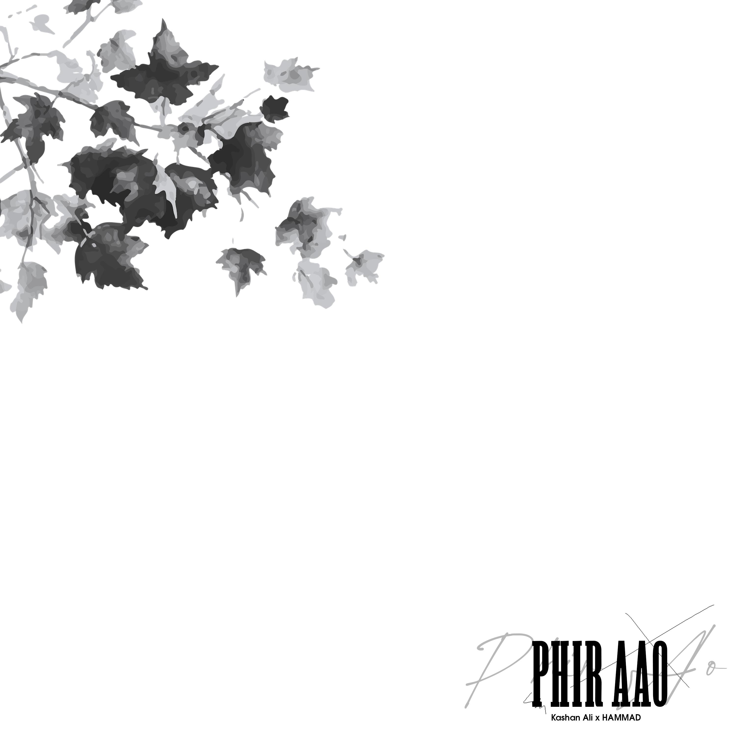 Постер альбома Phir Aao