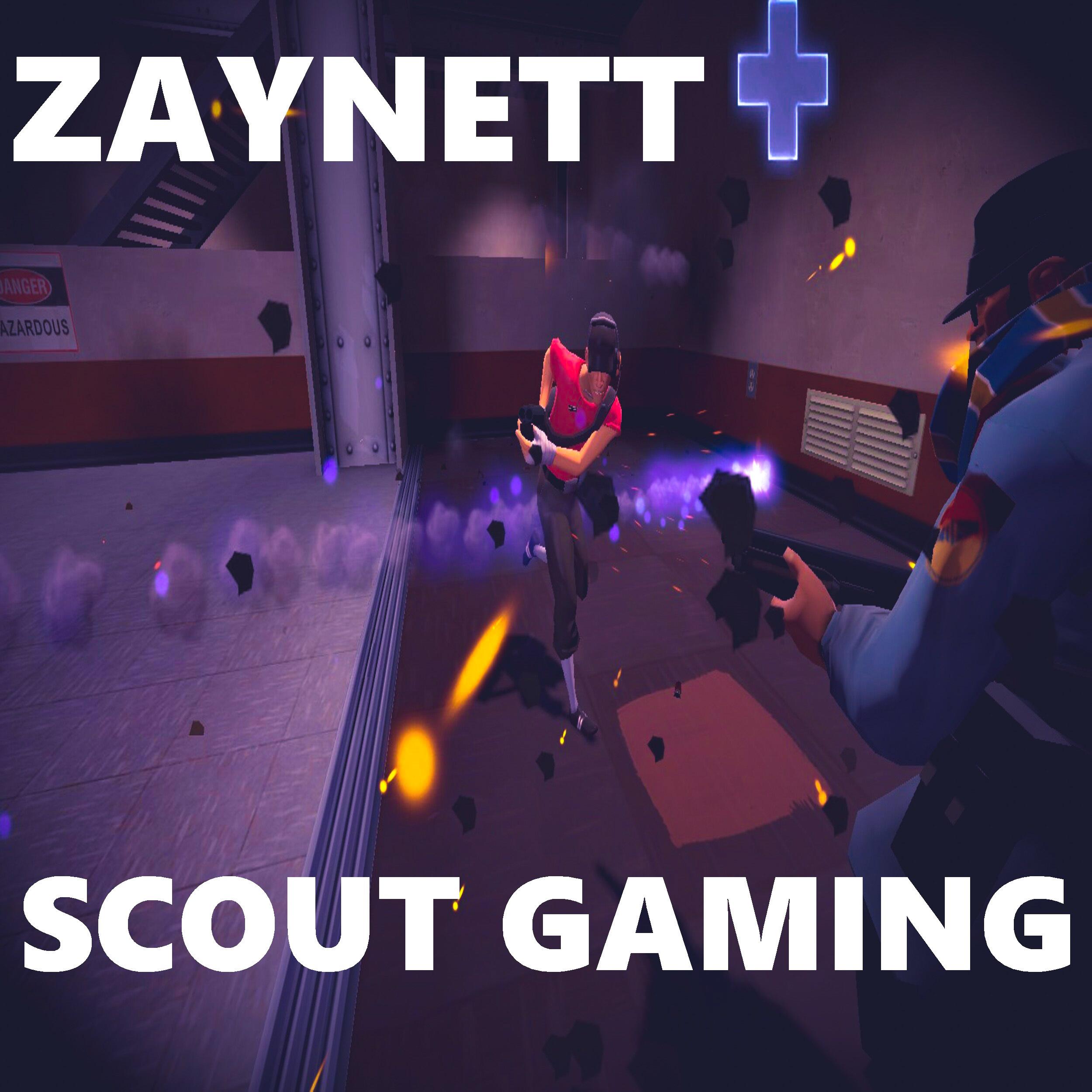 Постер альбома Scout Gaming