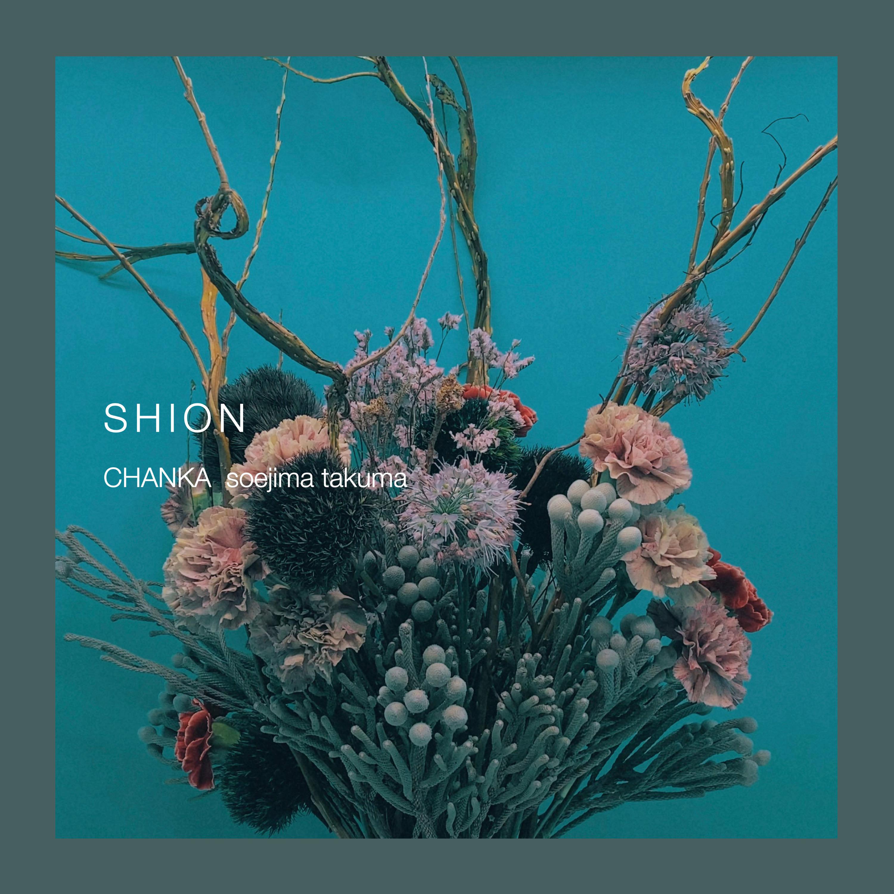 Постер альбома Shion(仮)