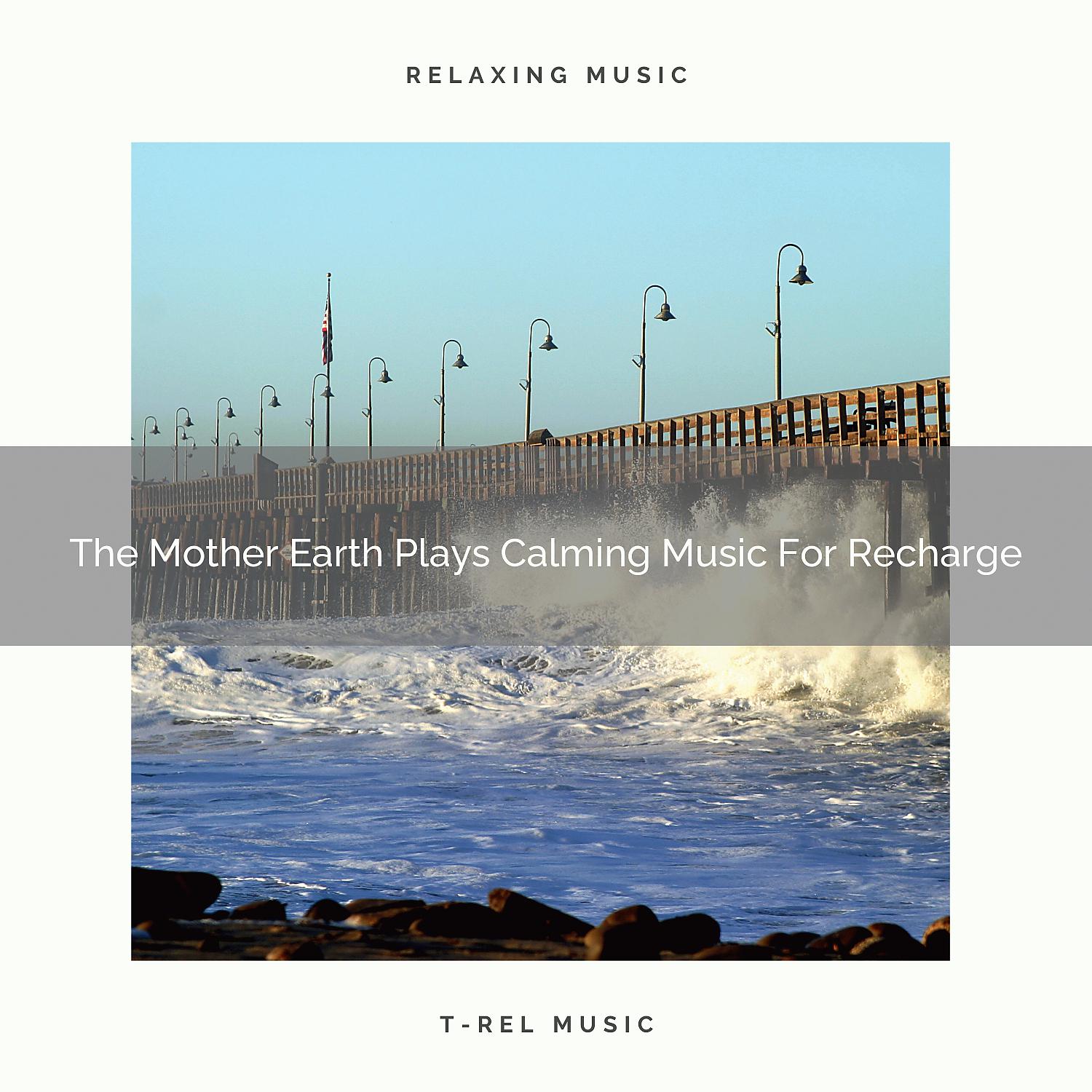 Постер альбома The Mother Earth Plays Calming Music For Recharge