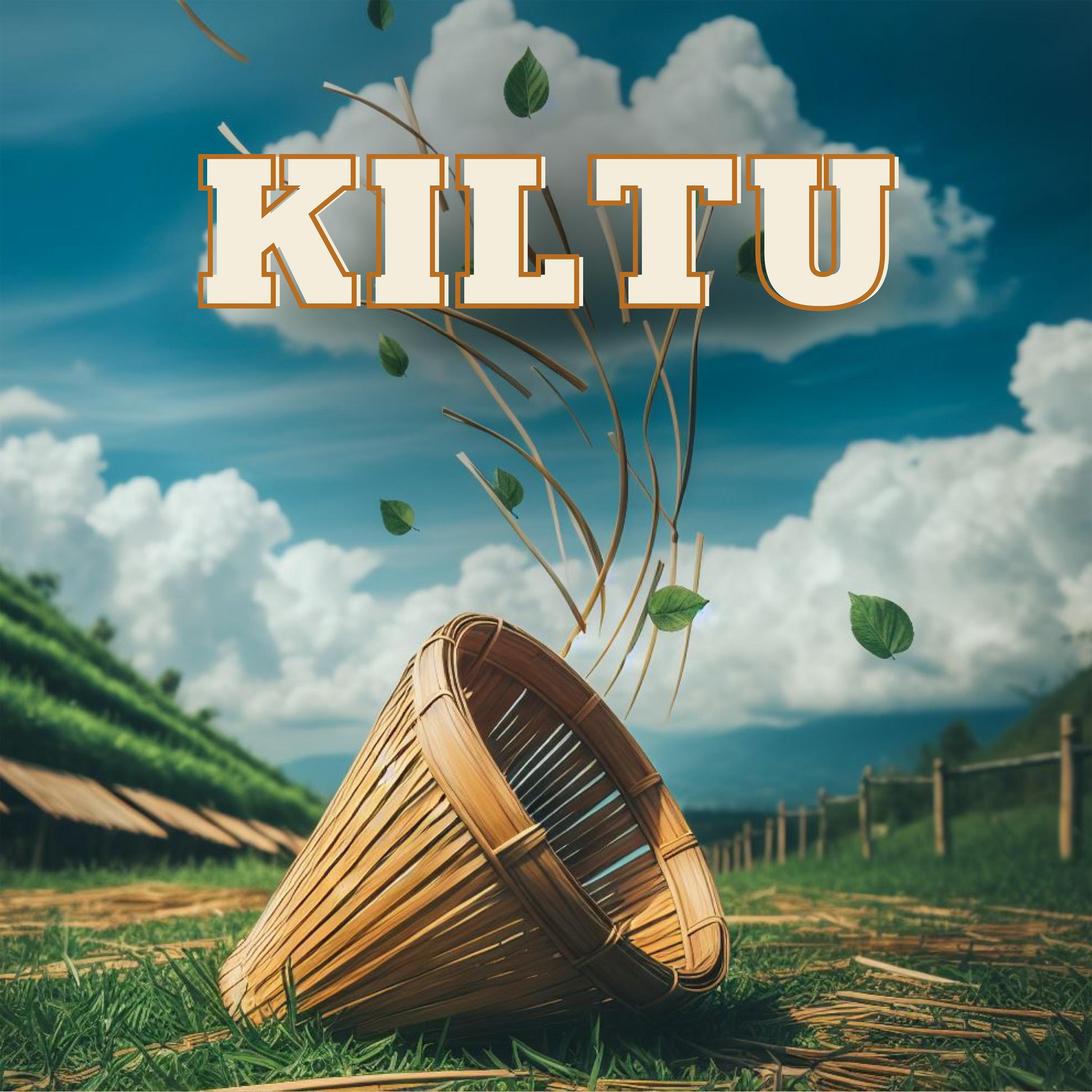Постер альбома Kiltu