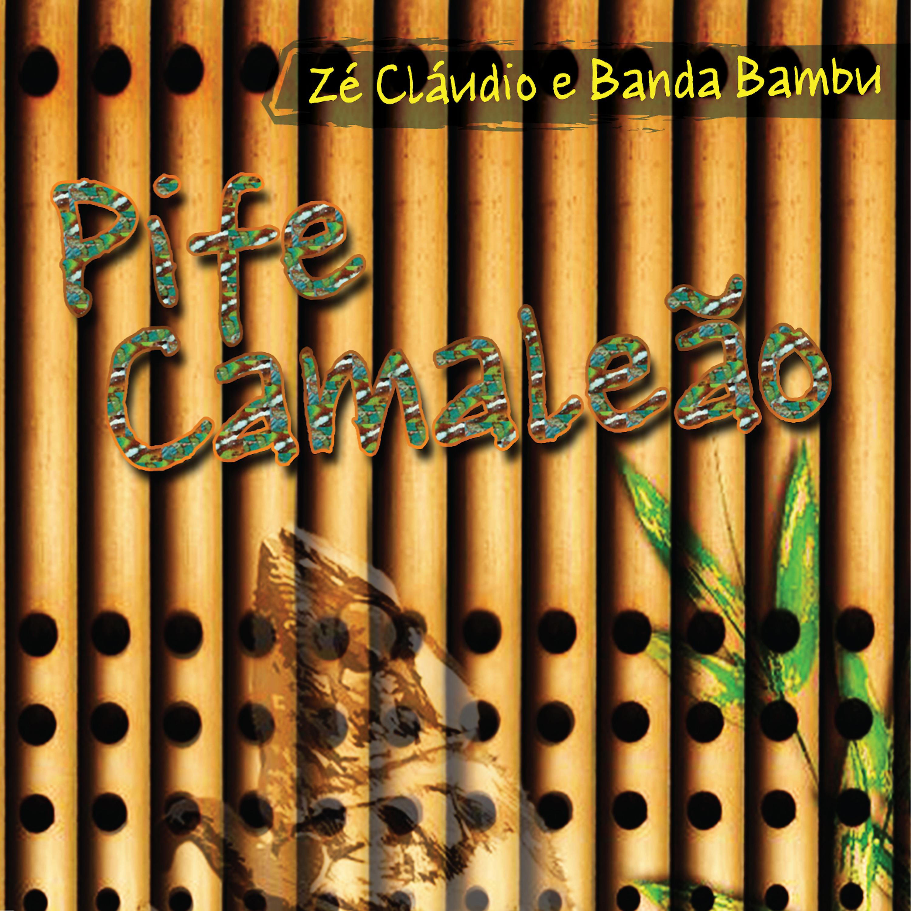 Постер альбома Pife Camaleão