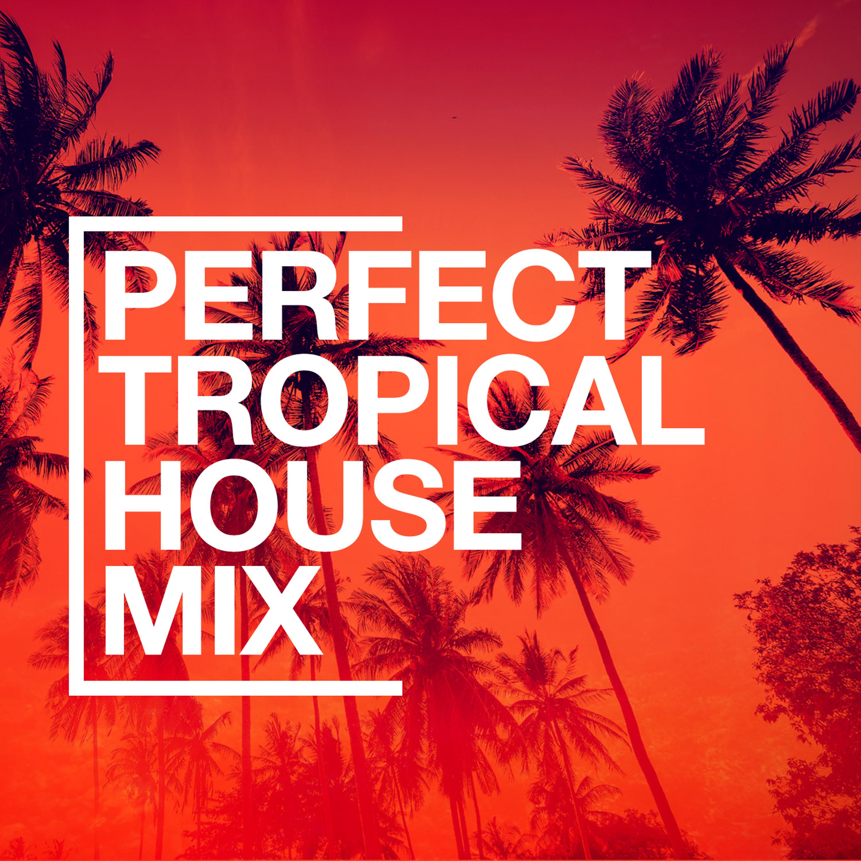 Постер альбома Perfect Tropical House Mix