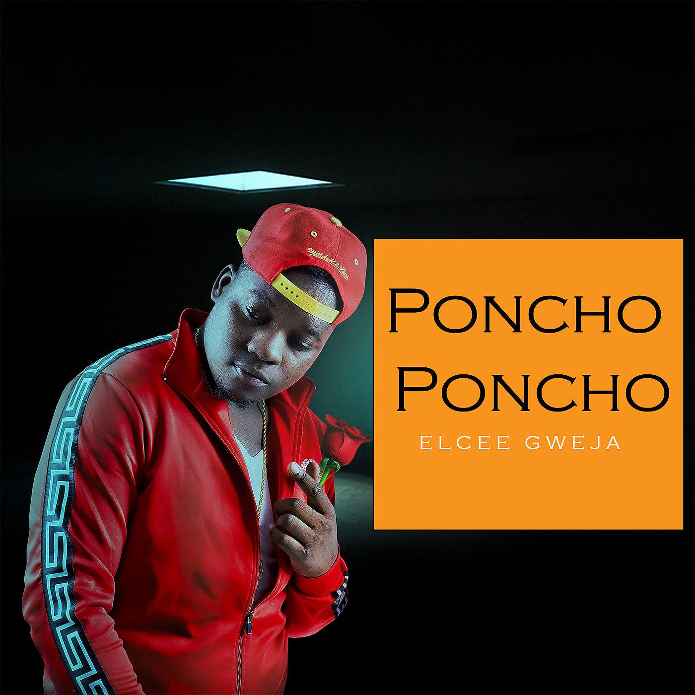 Постер альбома Poncho Poncho