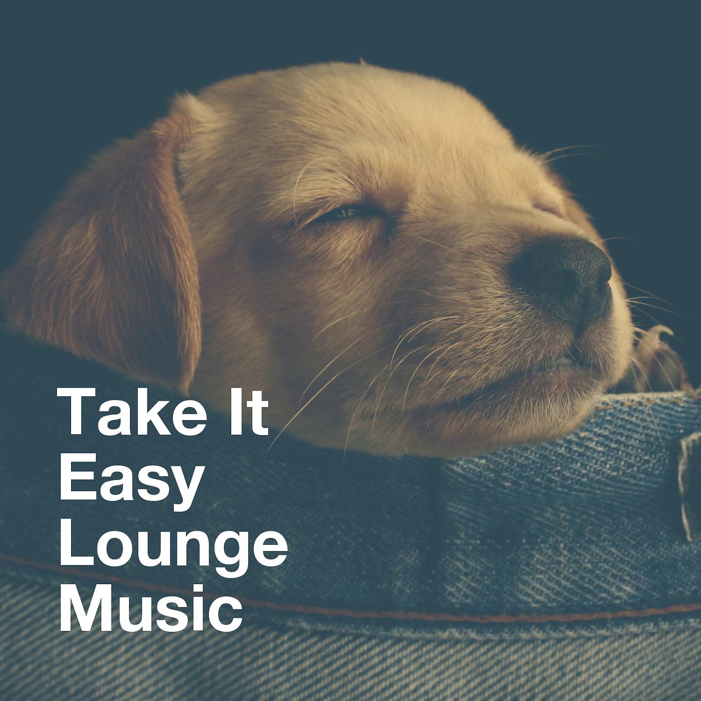 Постер альбома Take It Easy Lounge Music