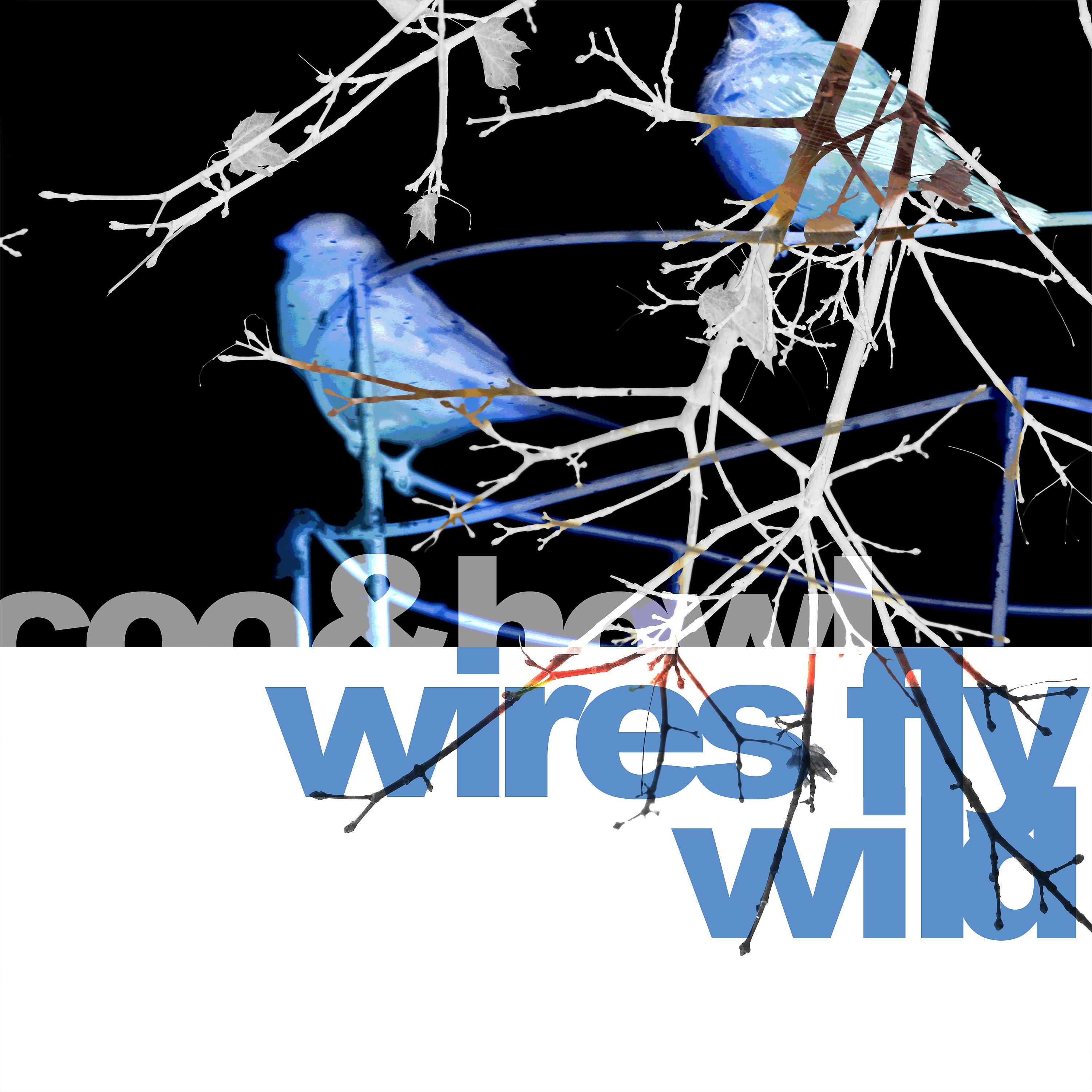 Постер альбома Wires Fly Wild