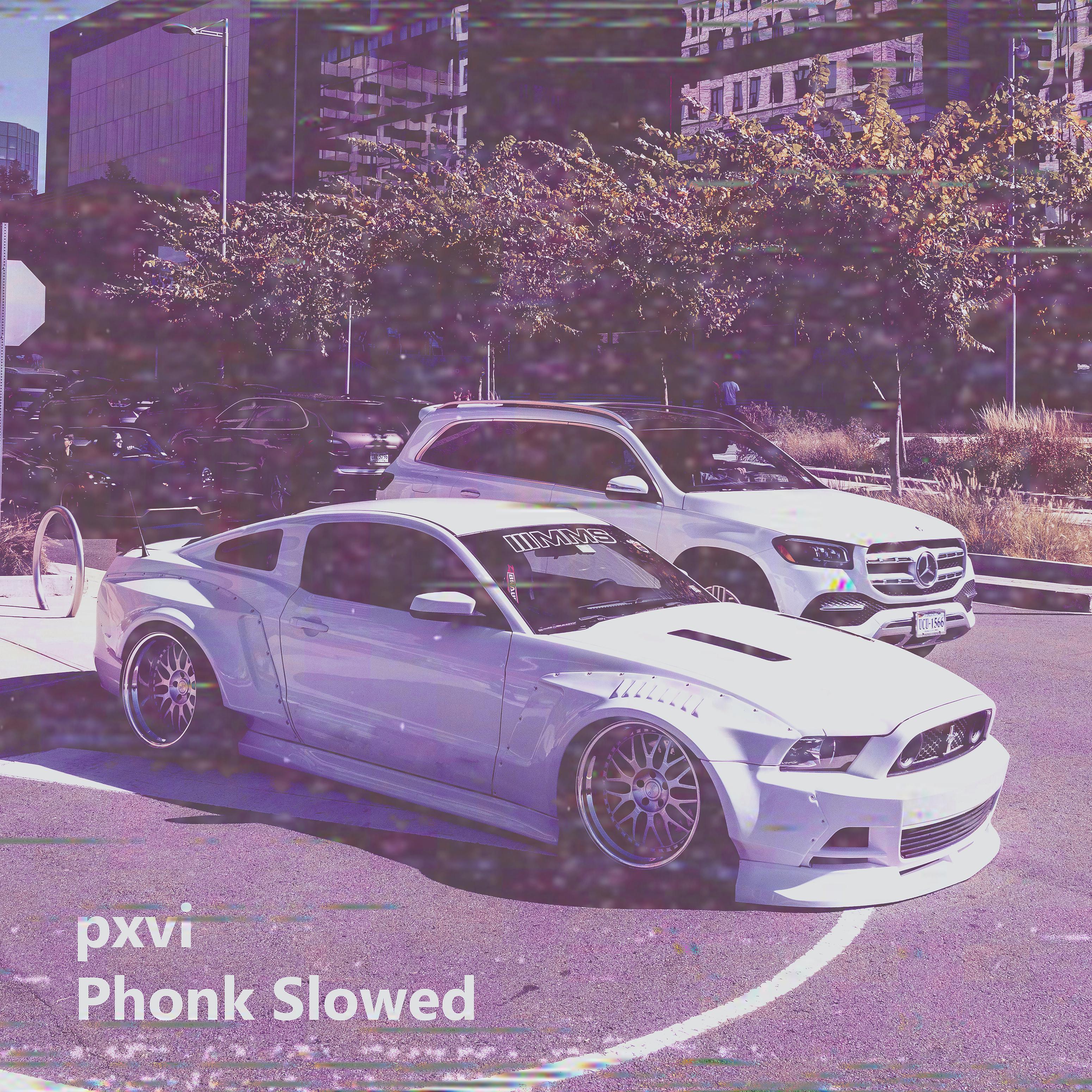 Постер альбома Phonk Slowed