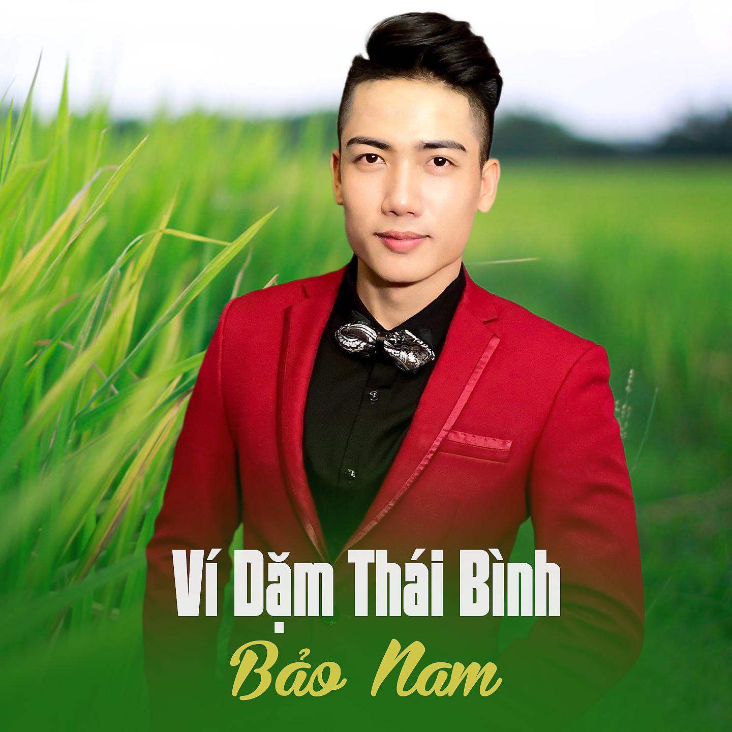 Постер альбома Ví Dặm Thái Bình