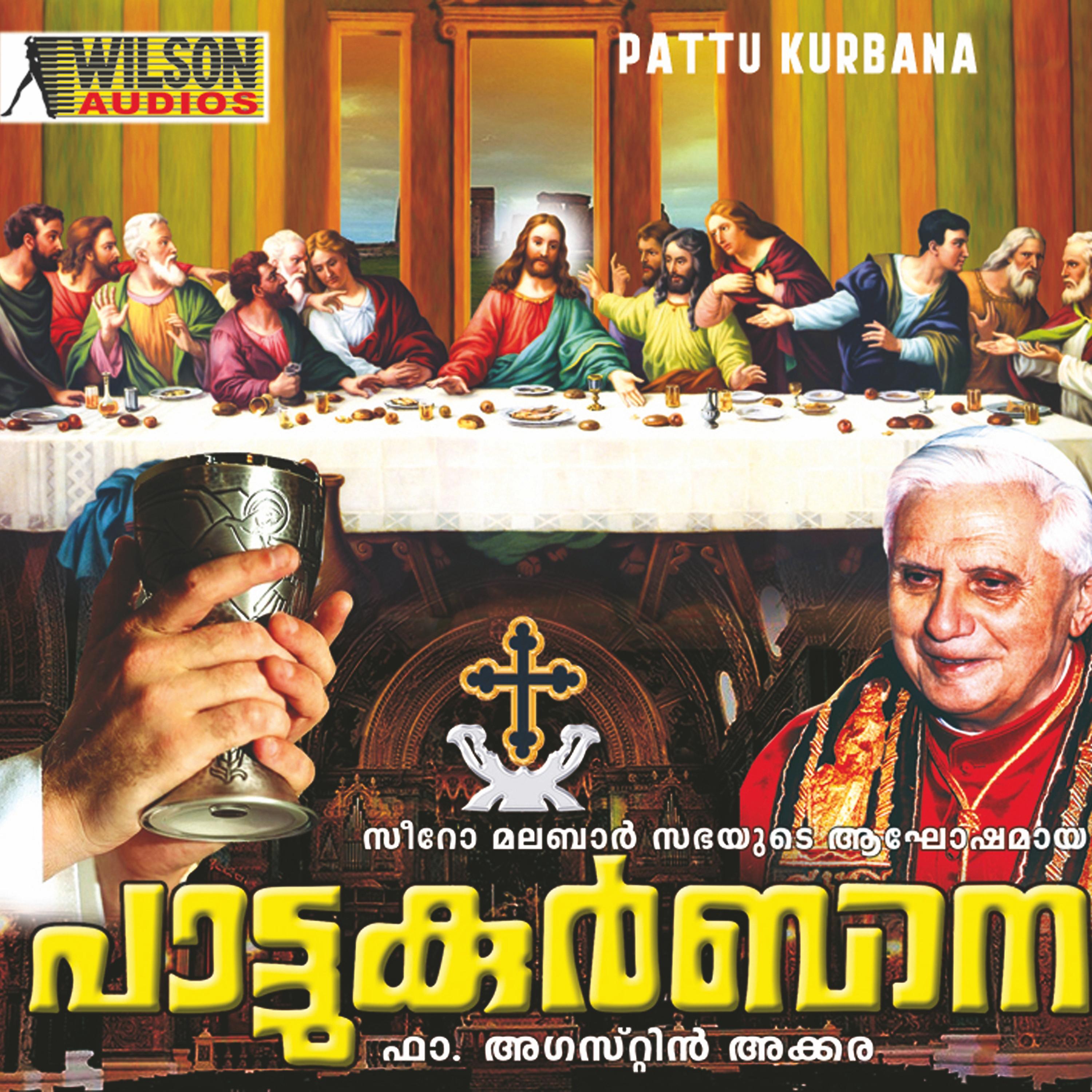 Постер альбома Pattu Kurbana