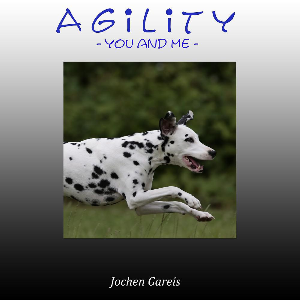 Постер альбома Agility (You and Me)
