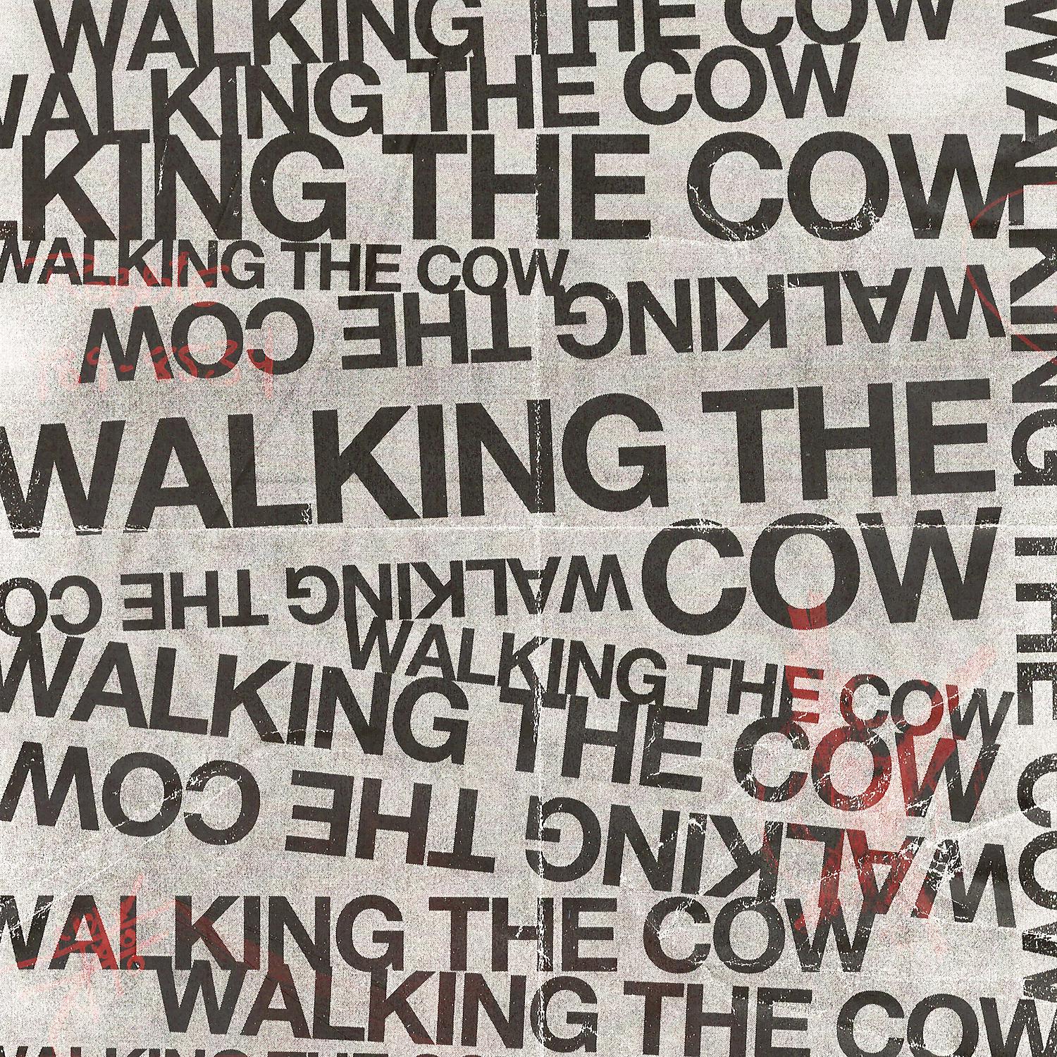 Постер альбома Walking the Cow