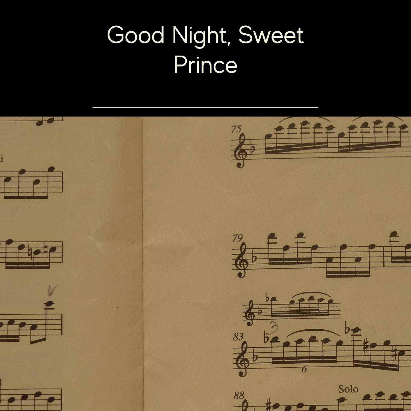 Постер альбома Good Night, Sweet Prince