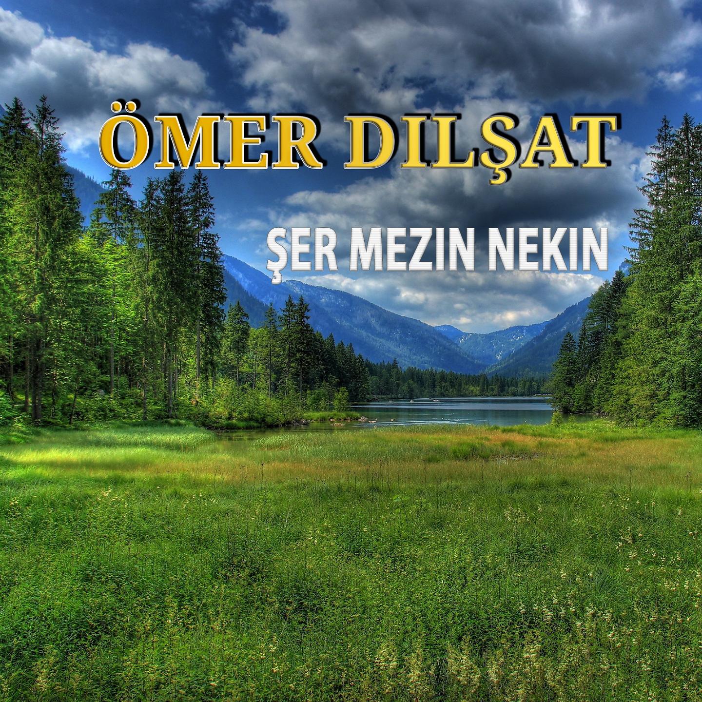Постер альбома Şer Mezin Nekin