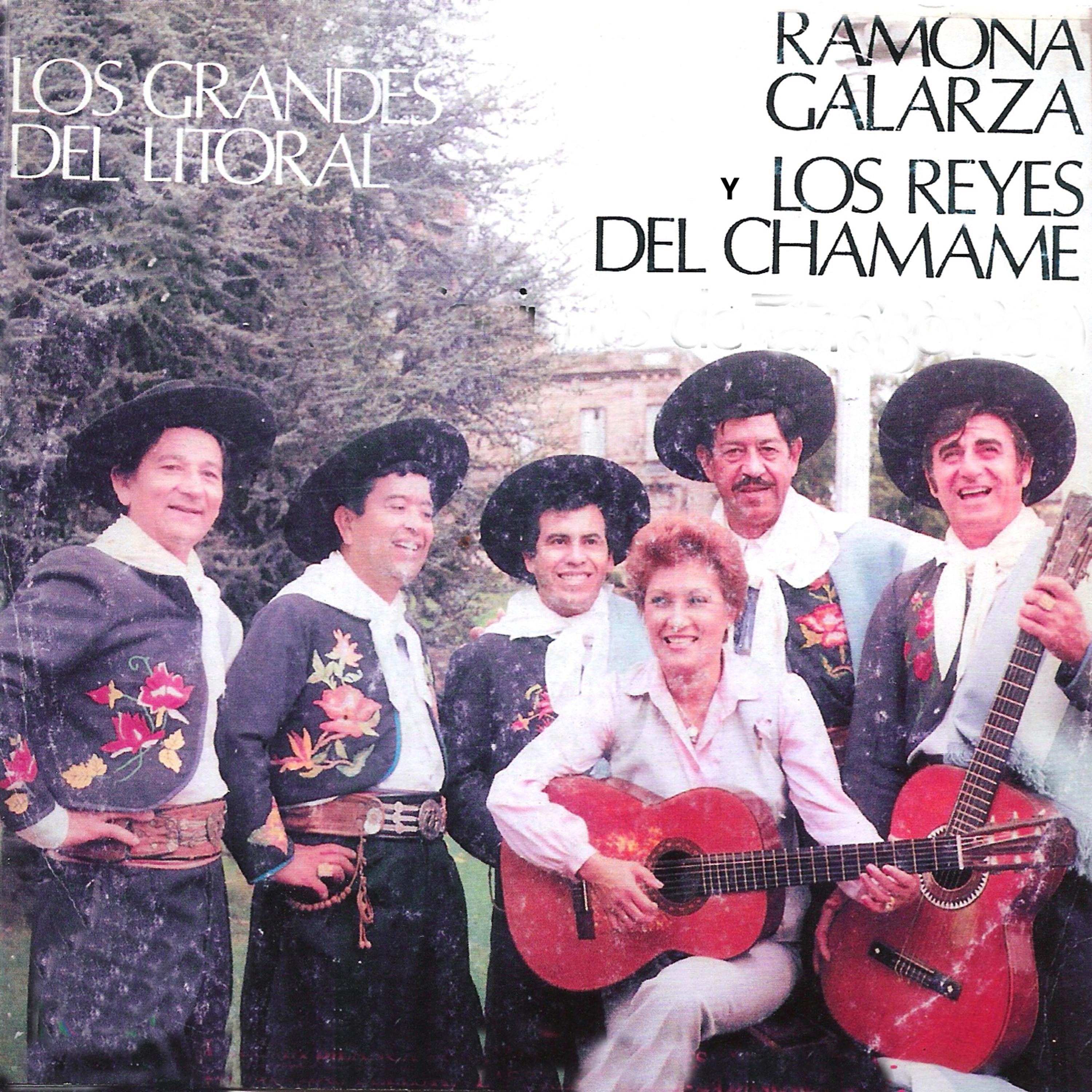 Постер альбома Los Grandes del Litoral