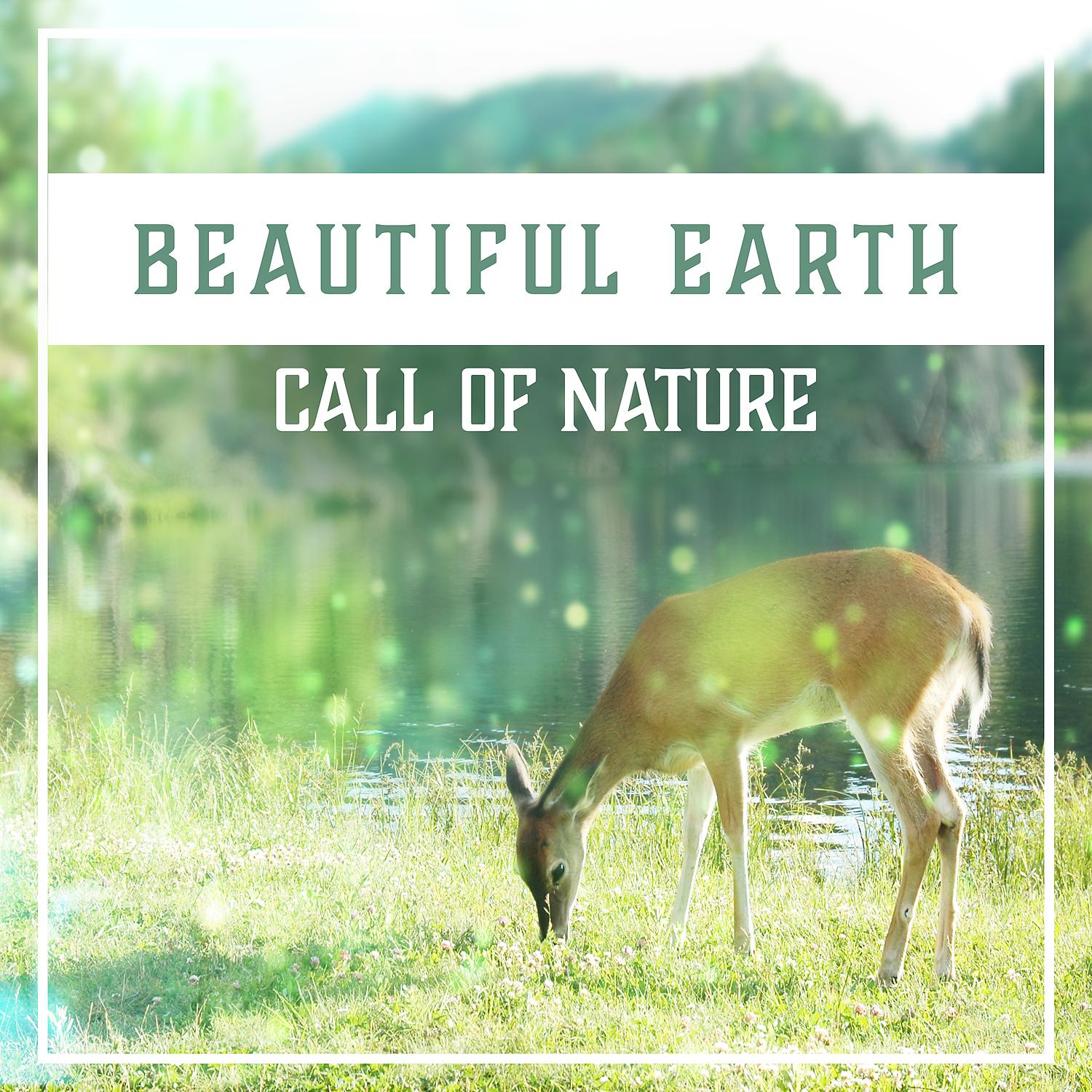 Постер альбома Beautiful Earth: Call of Nature, Harmony Sounds, Music for Relaxation, New Age Meditation, Wellness & Yoga, Audio Therapy