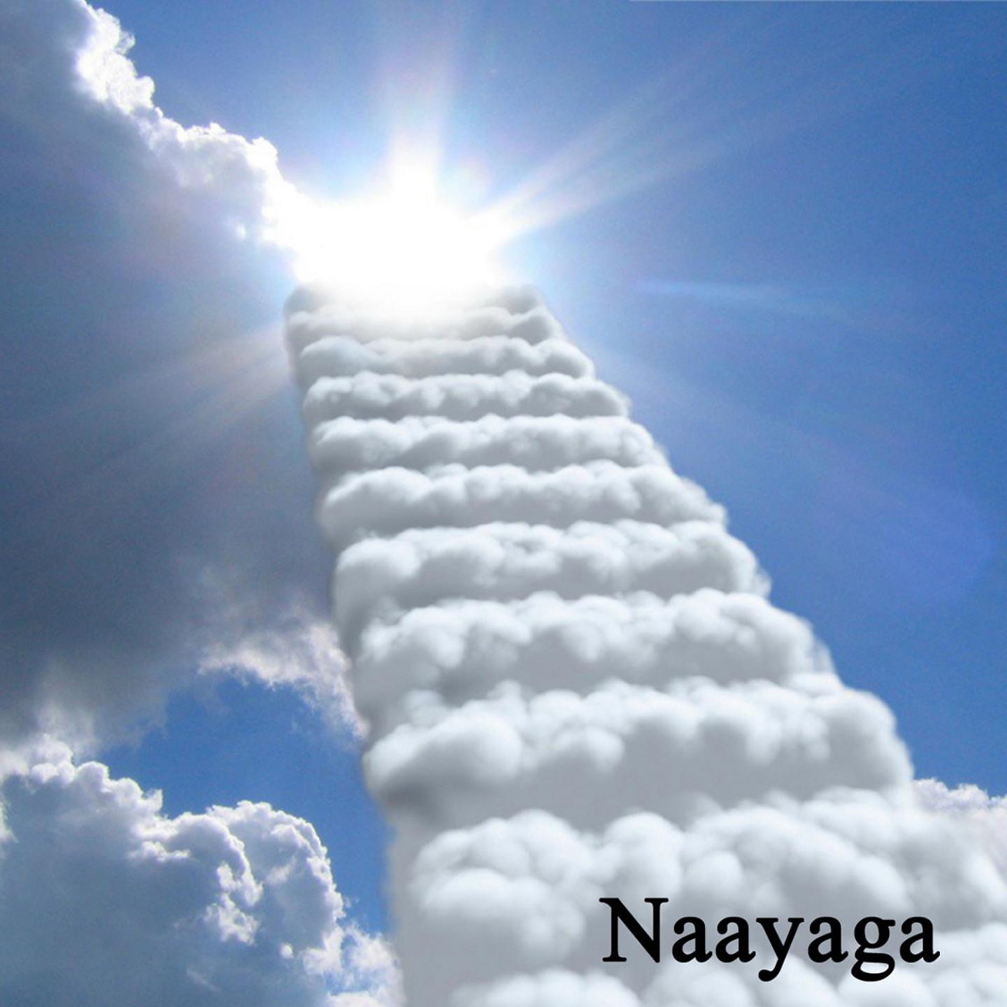 Постер альбома Naayaga